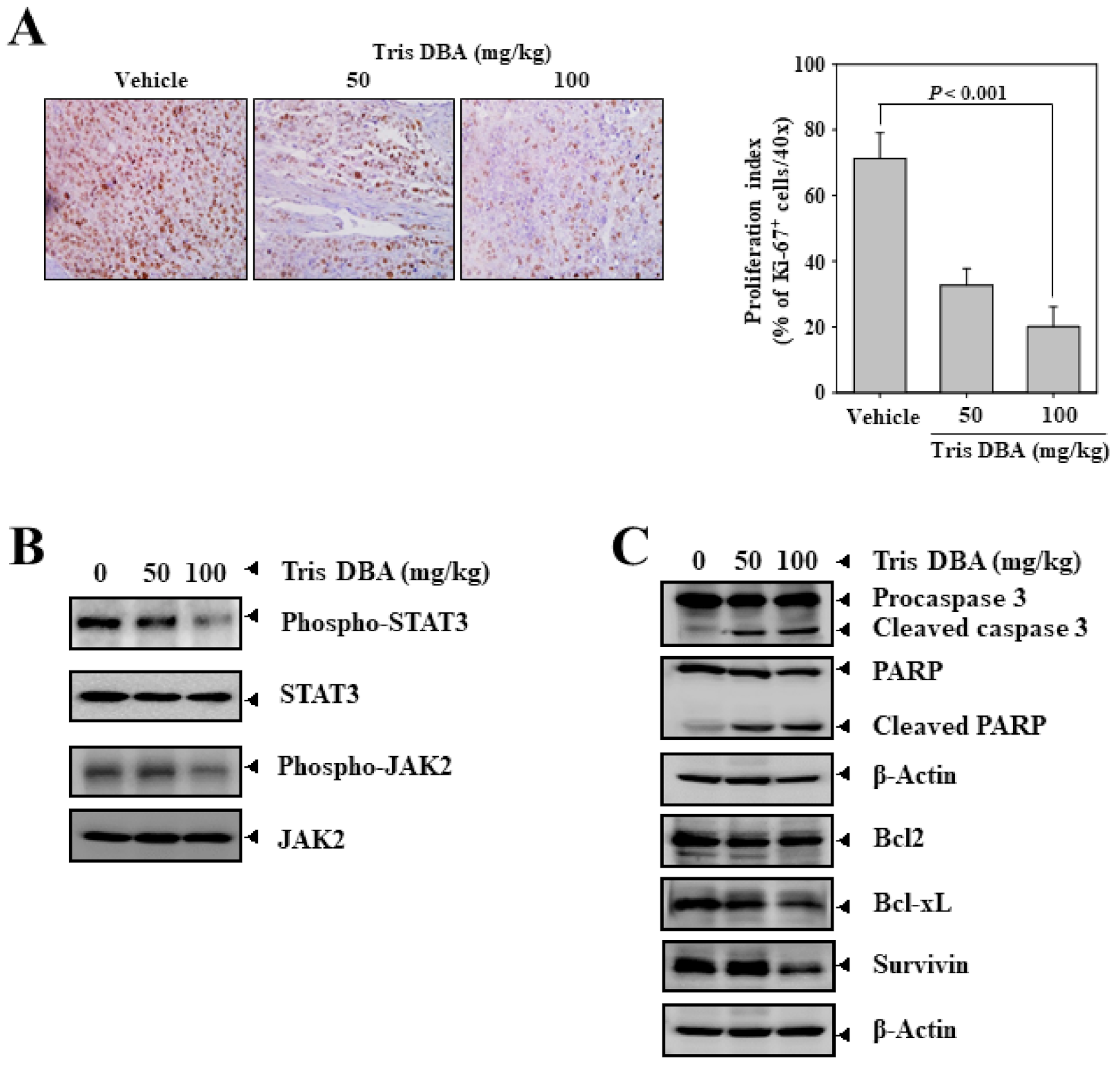 Cancers 13 05479 g008