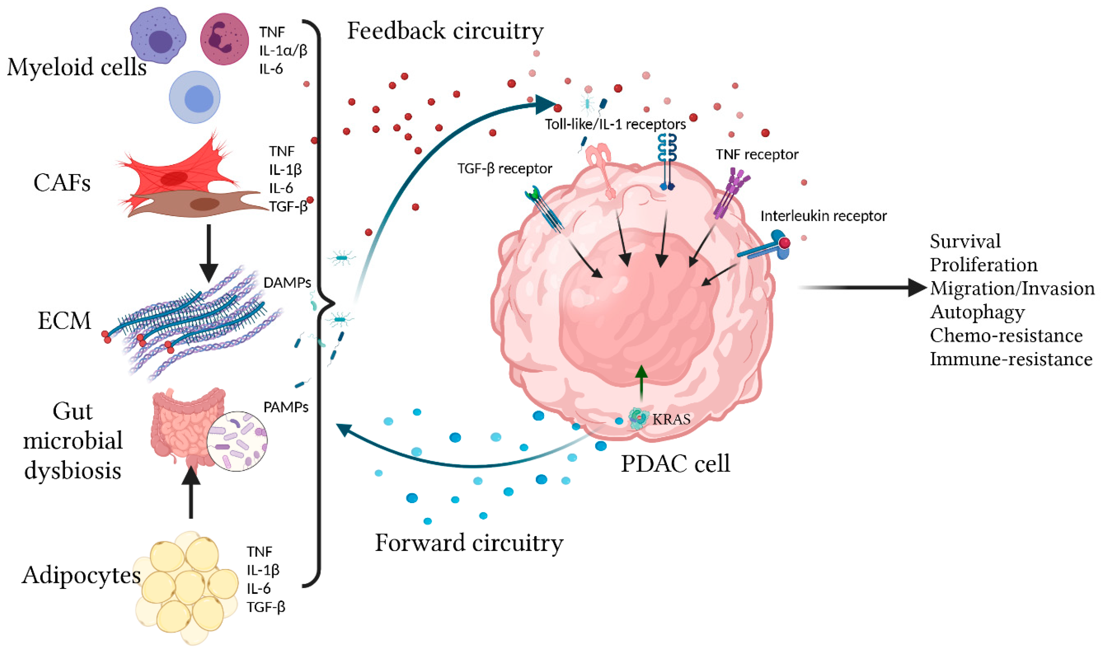 Cancers 13 05481 g001