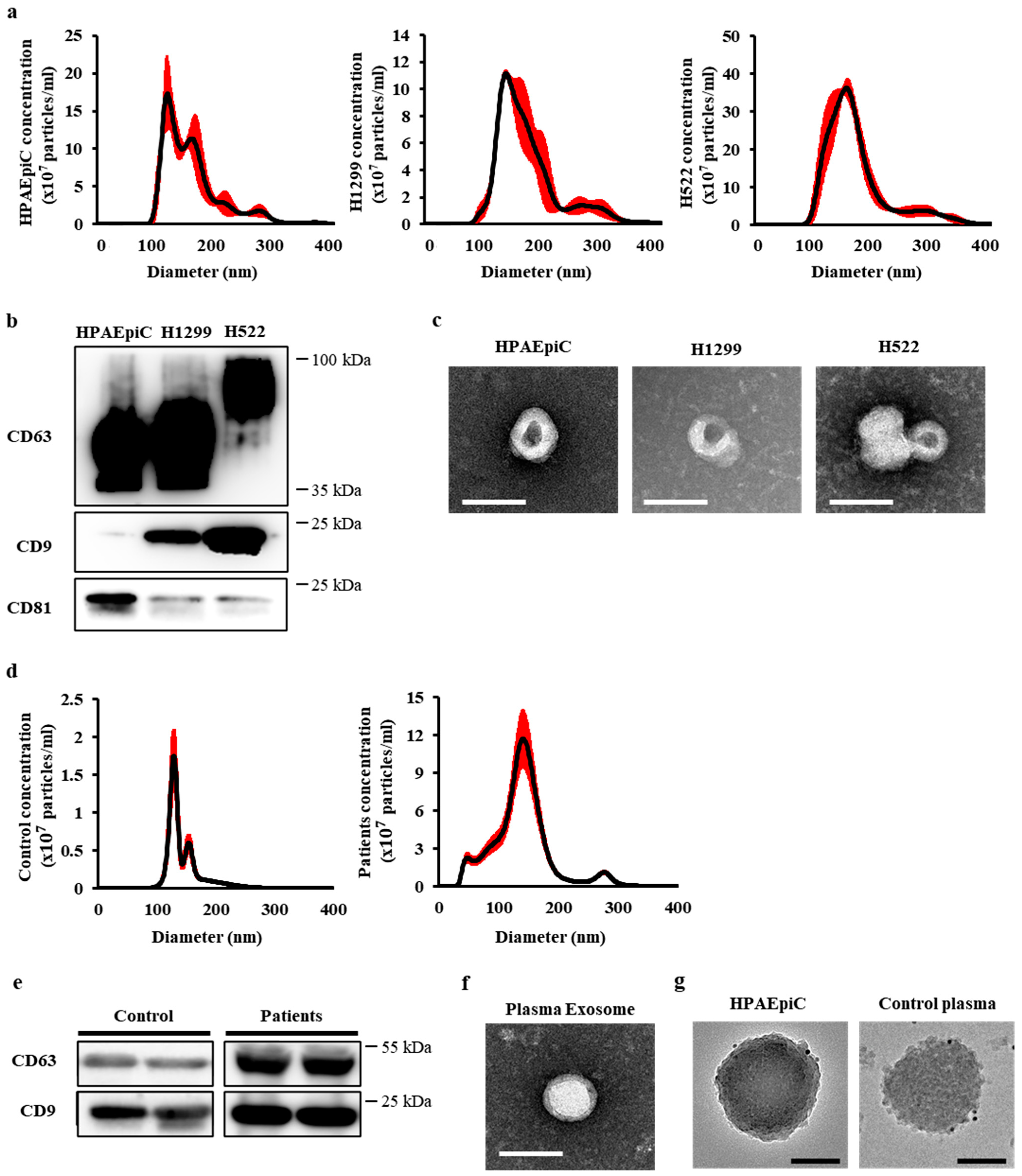 Cancers 13 05482 g001