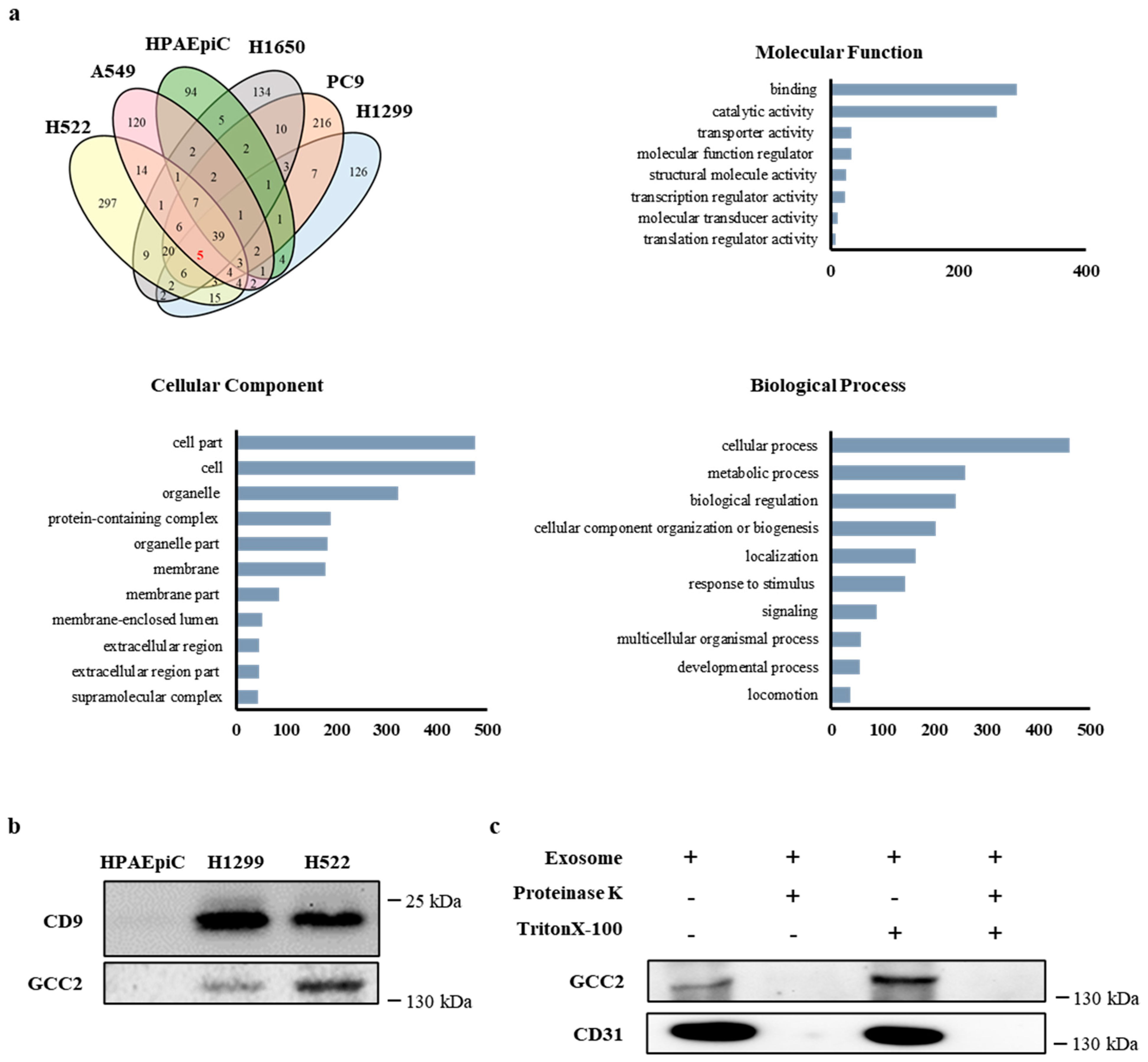 Cancers 13 05482 g002