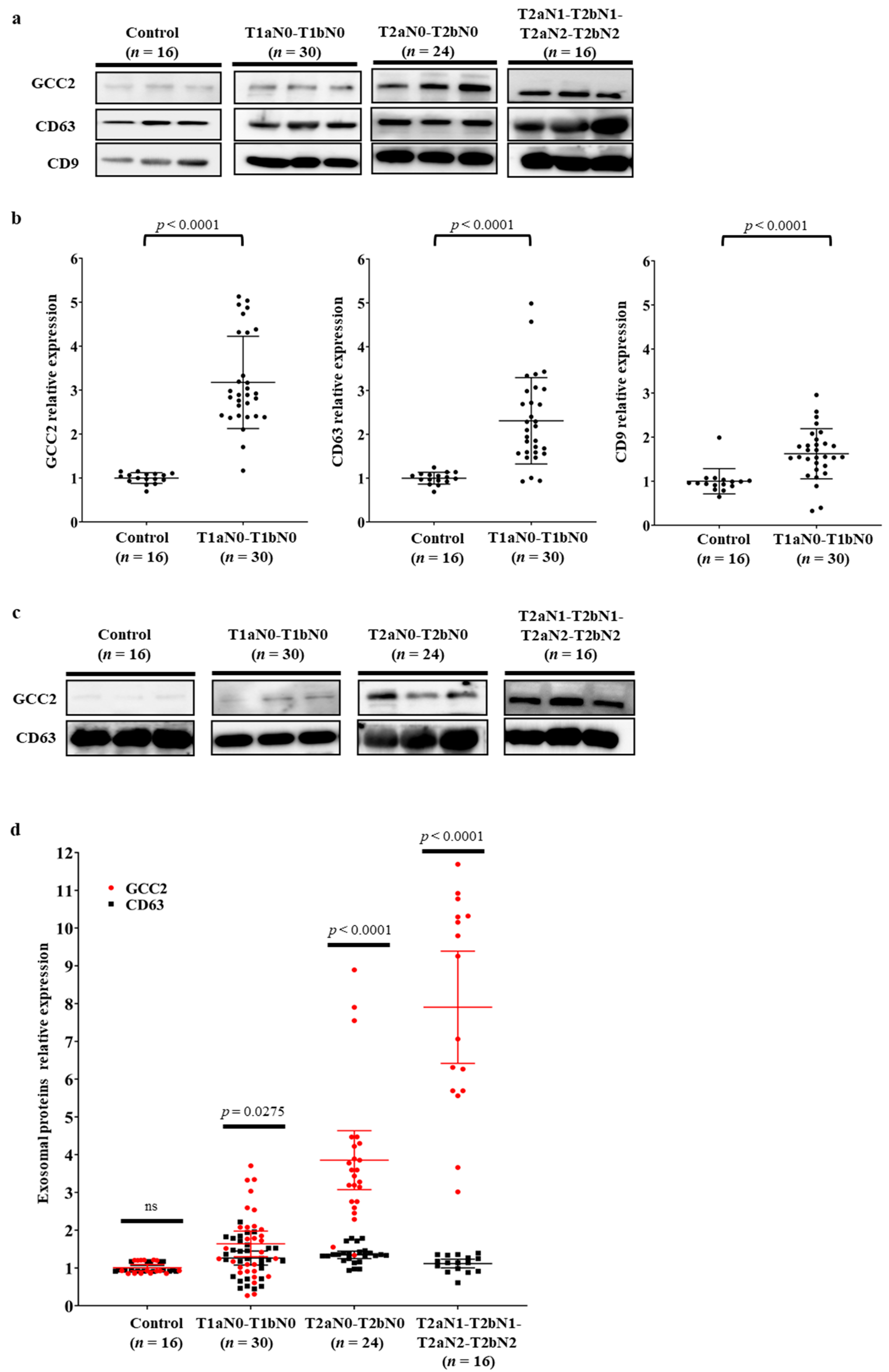 Cancers 13 05482 g003