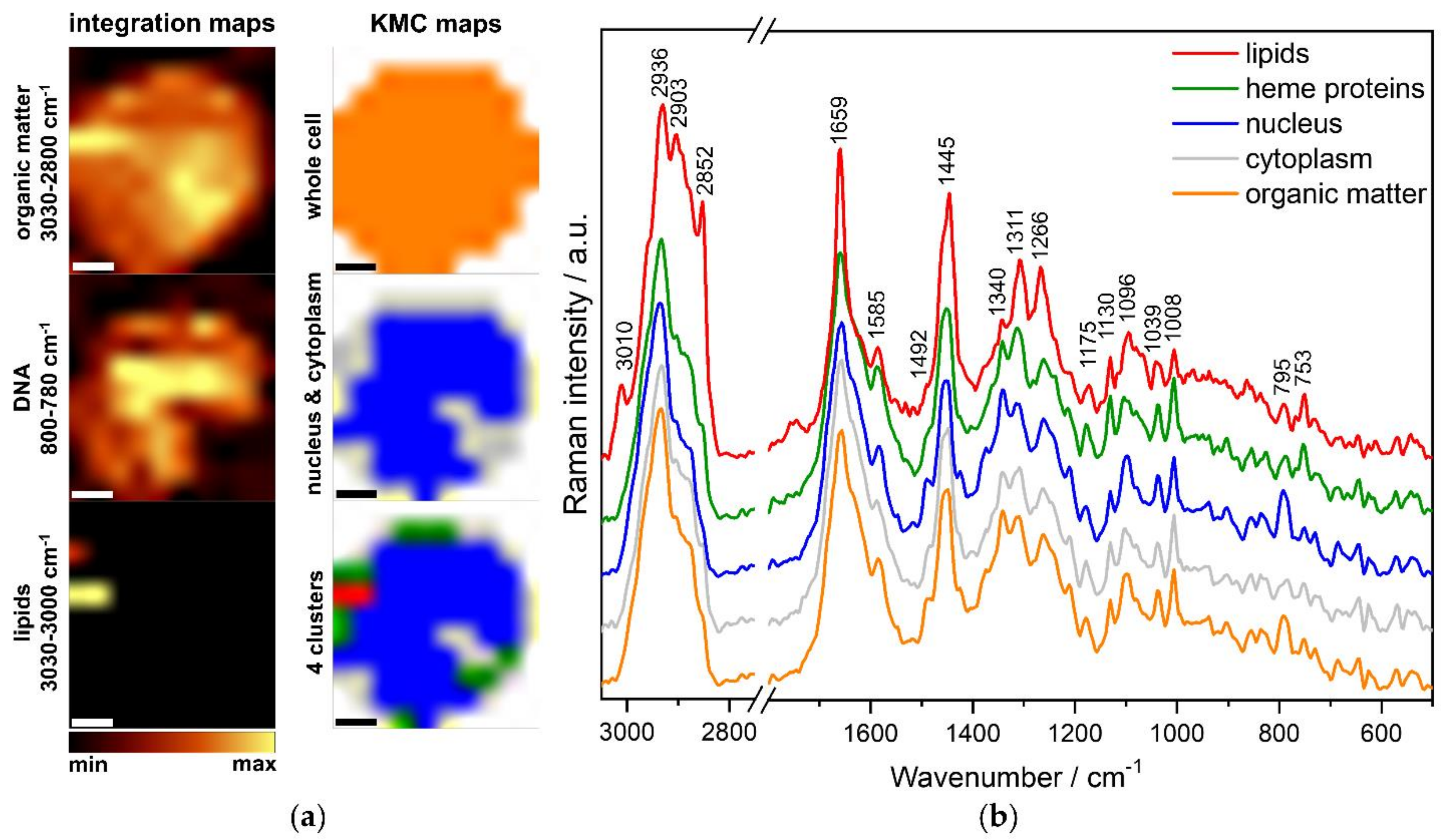 Cancers 13 05483 g002