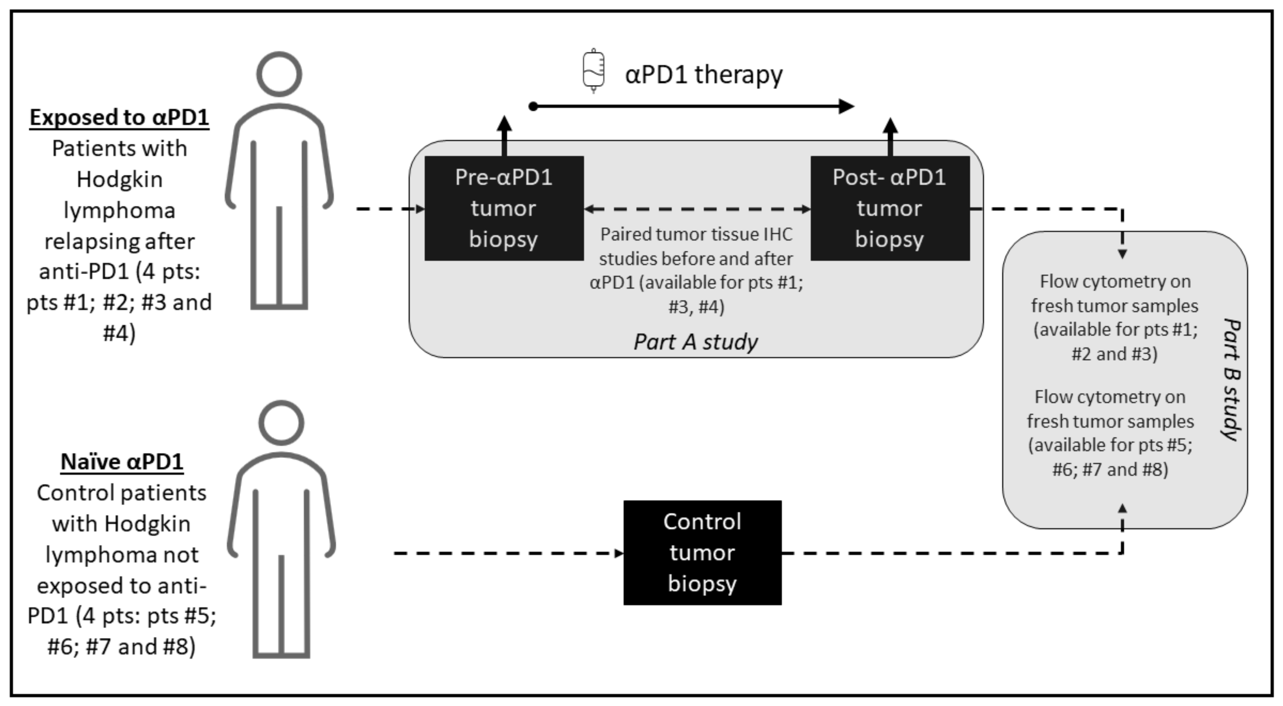 Cancers 13 05487 g001