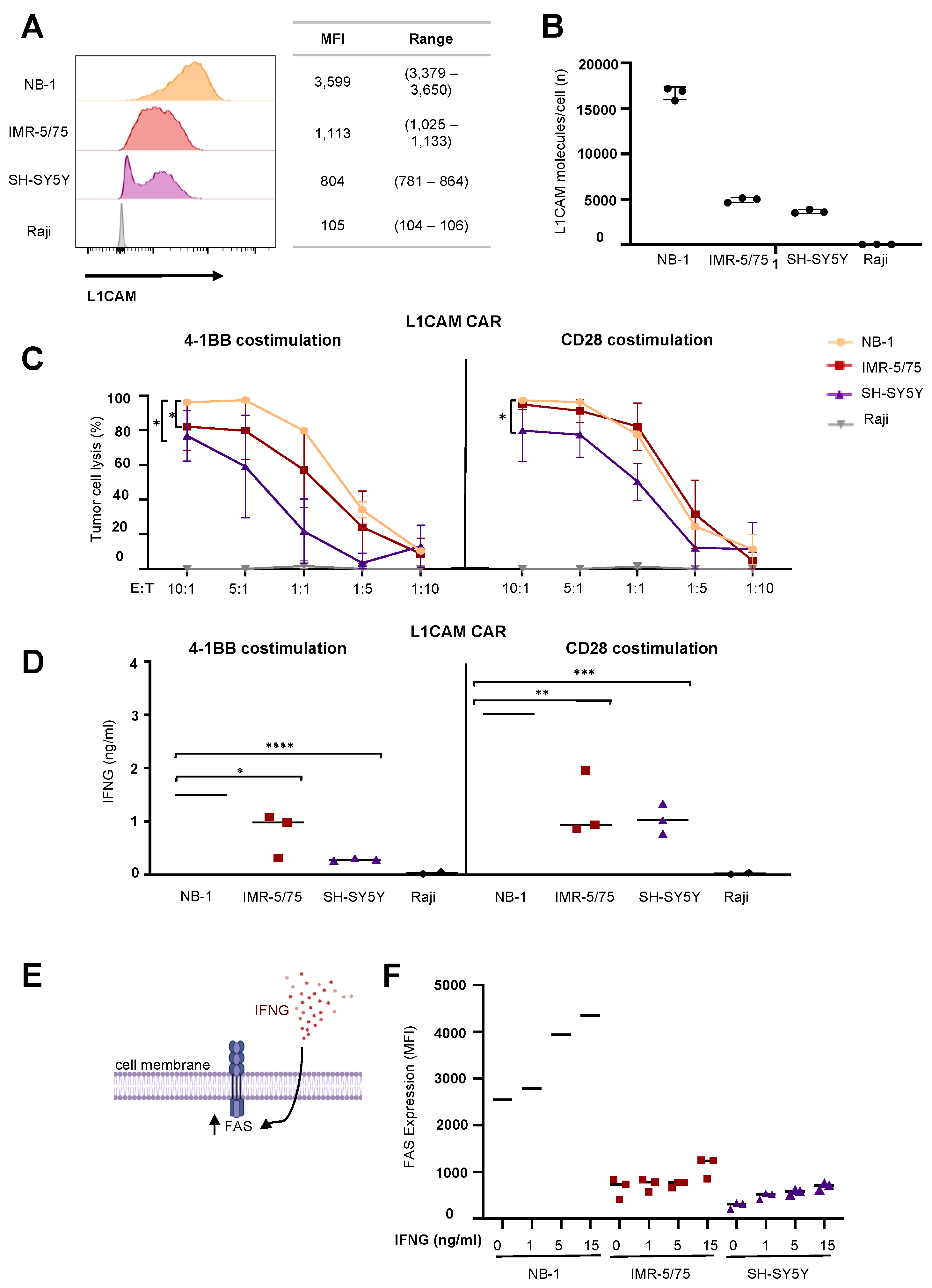 Cancers 13 05489 g001