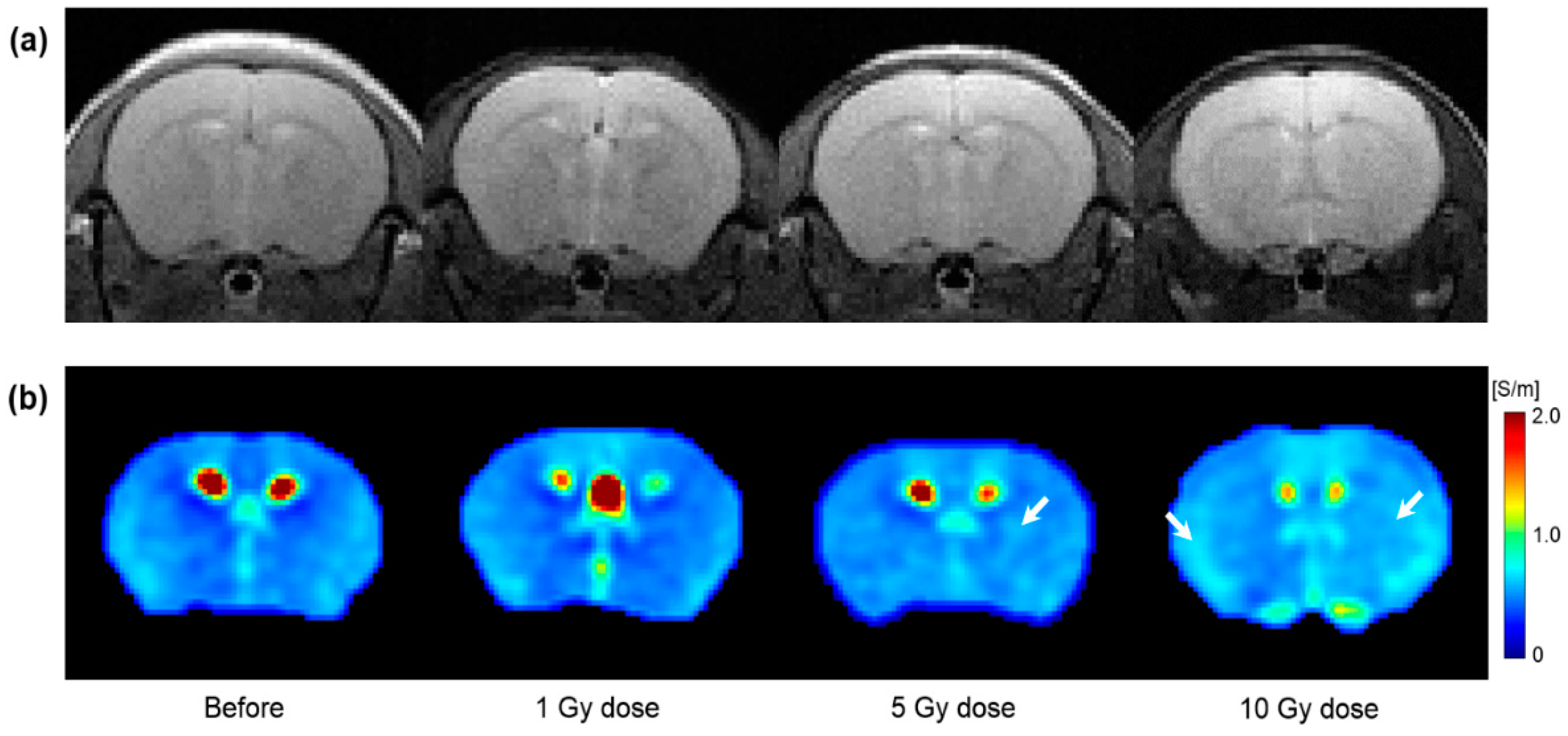 Cancers 13 05490 g004