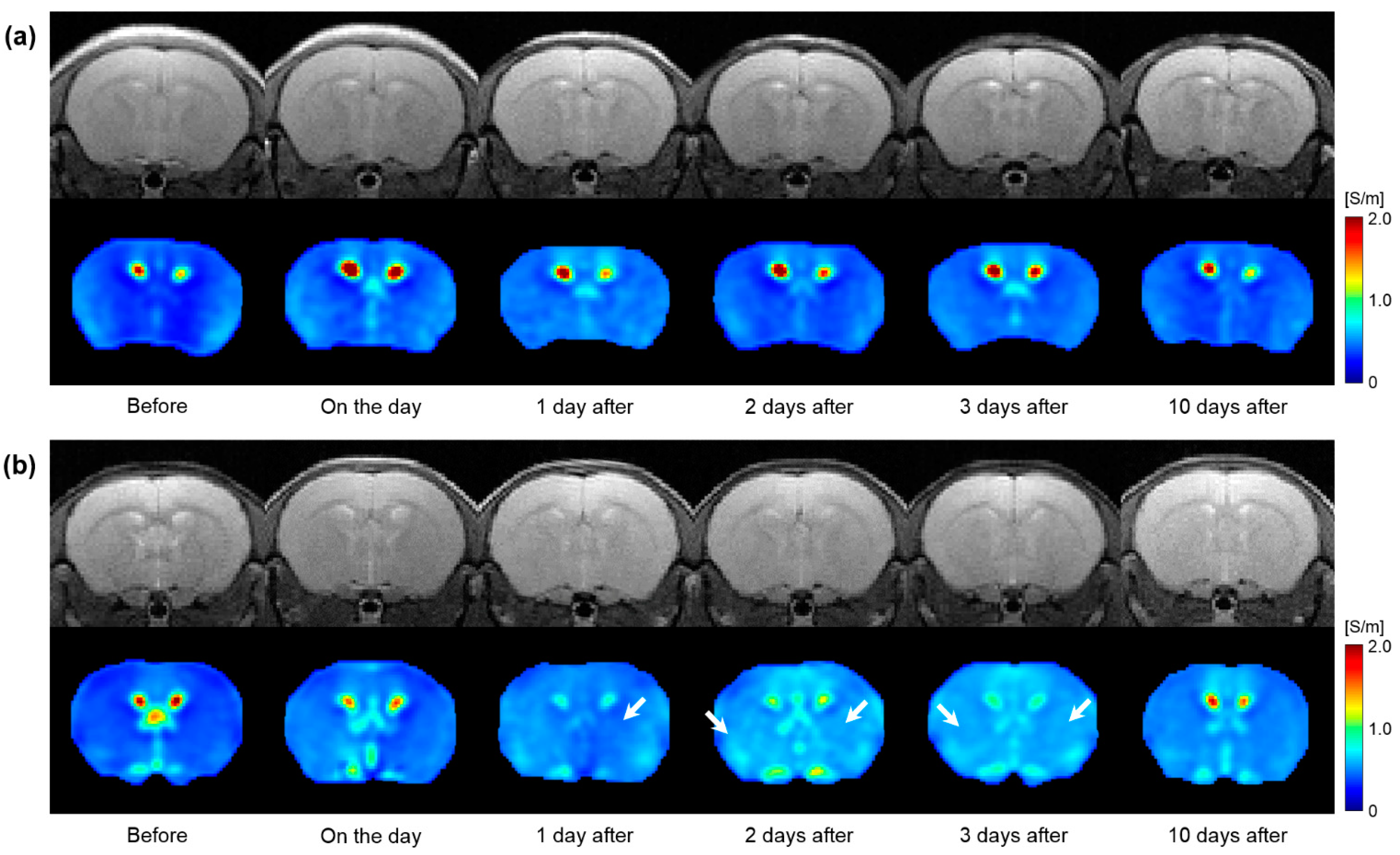 Cancers 13 05490 g005