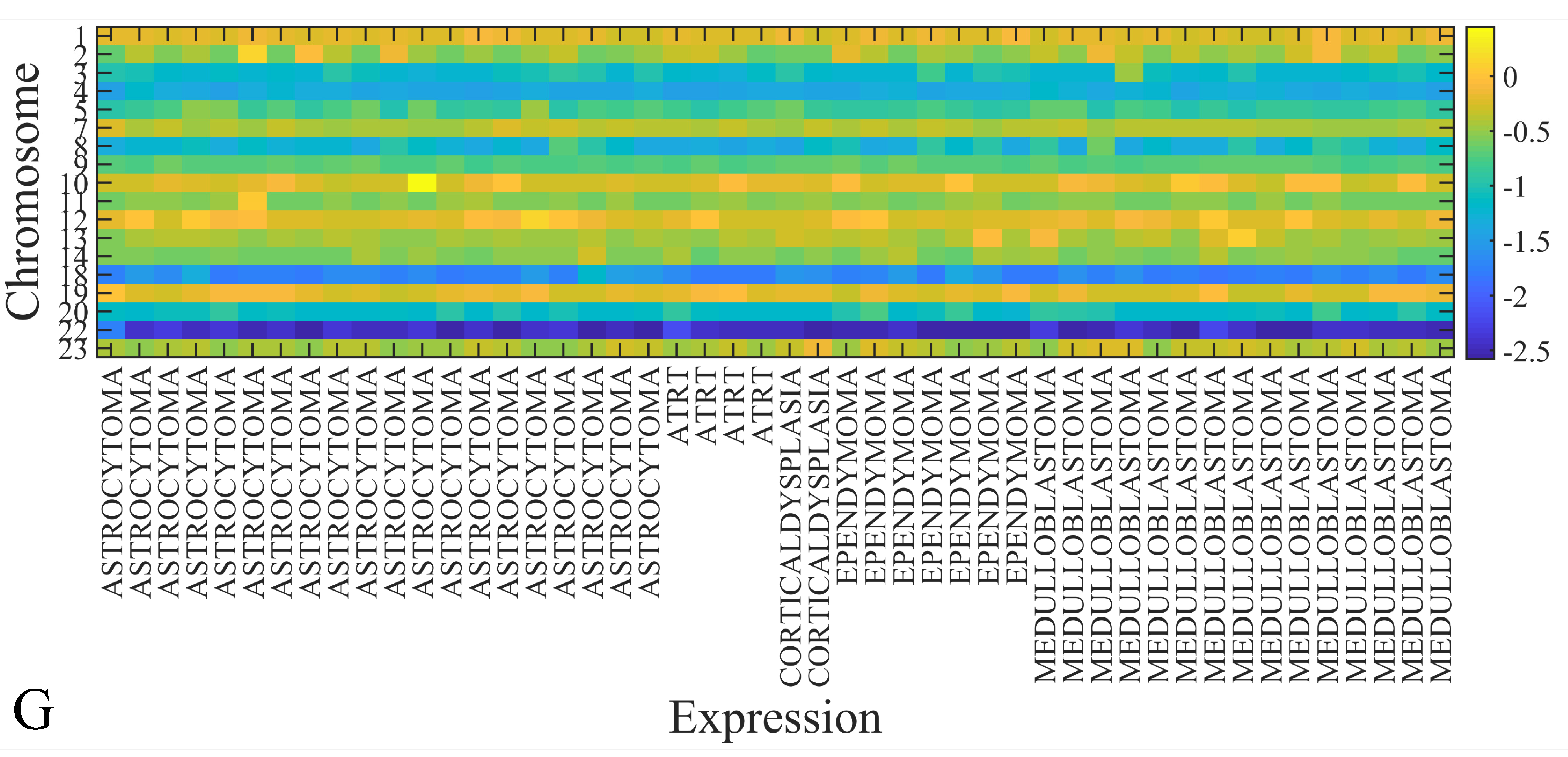 Cancers 13 05491 g010g