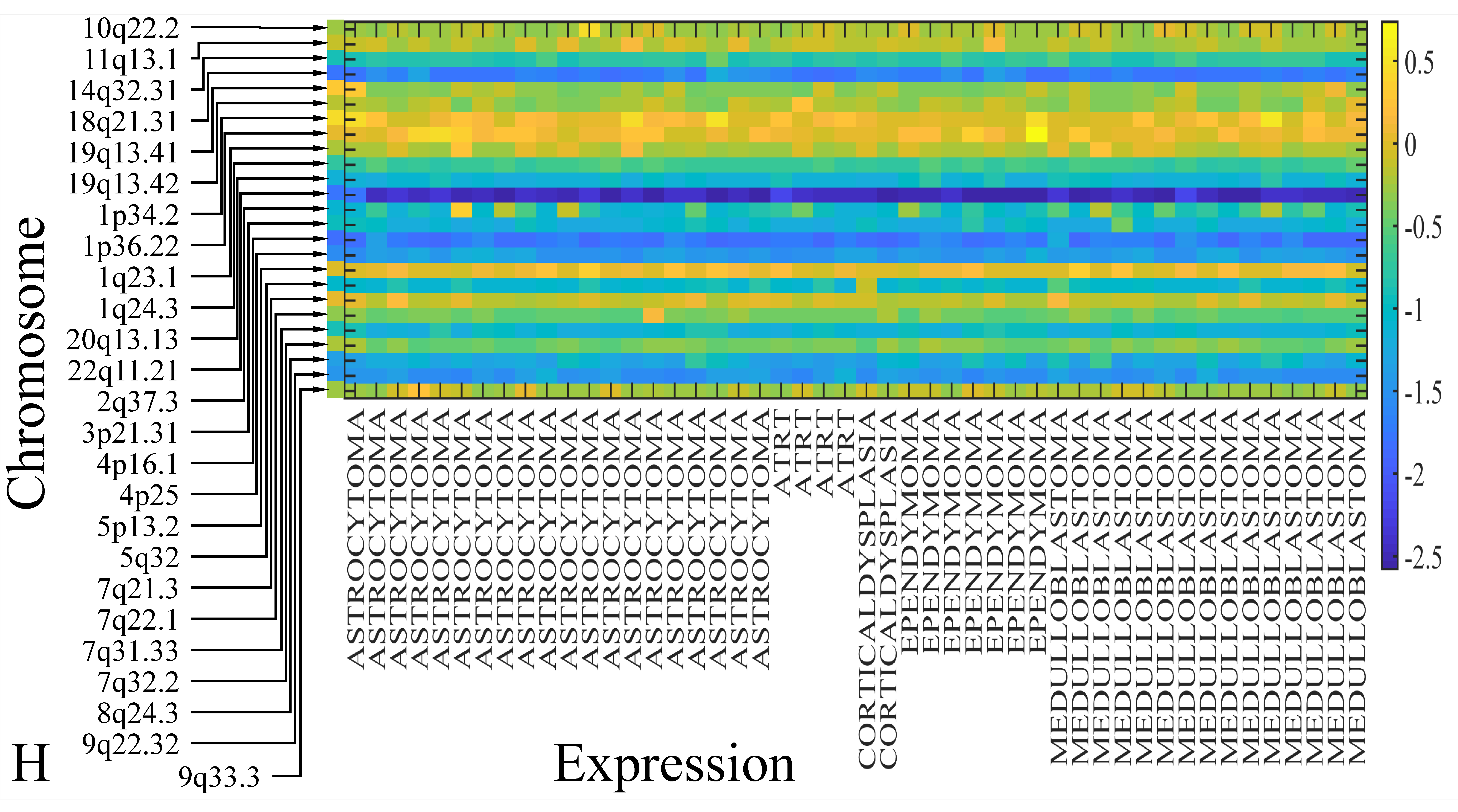 Cancers 13 05491 g010h