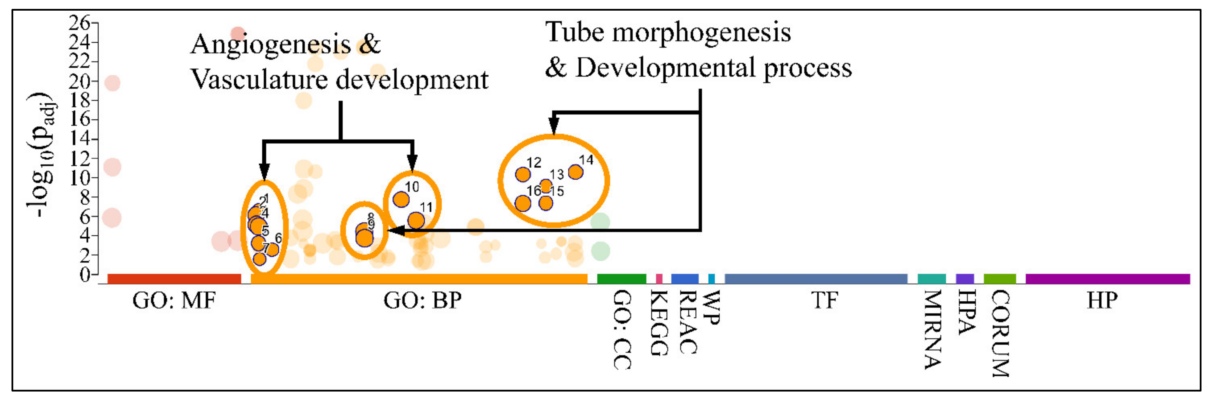 Cancers 13 05491 g012