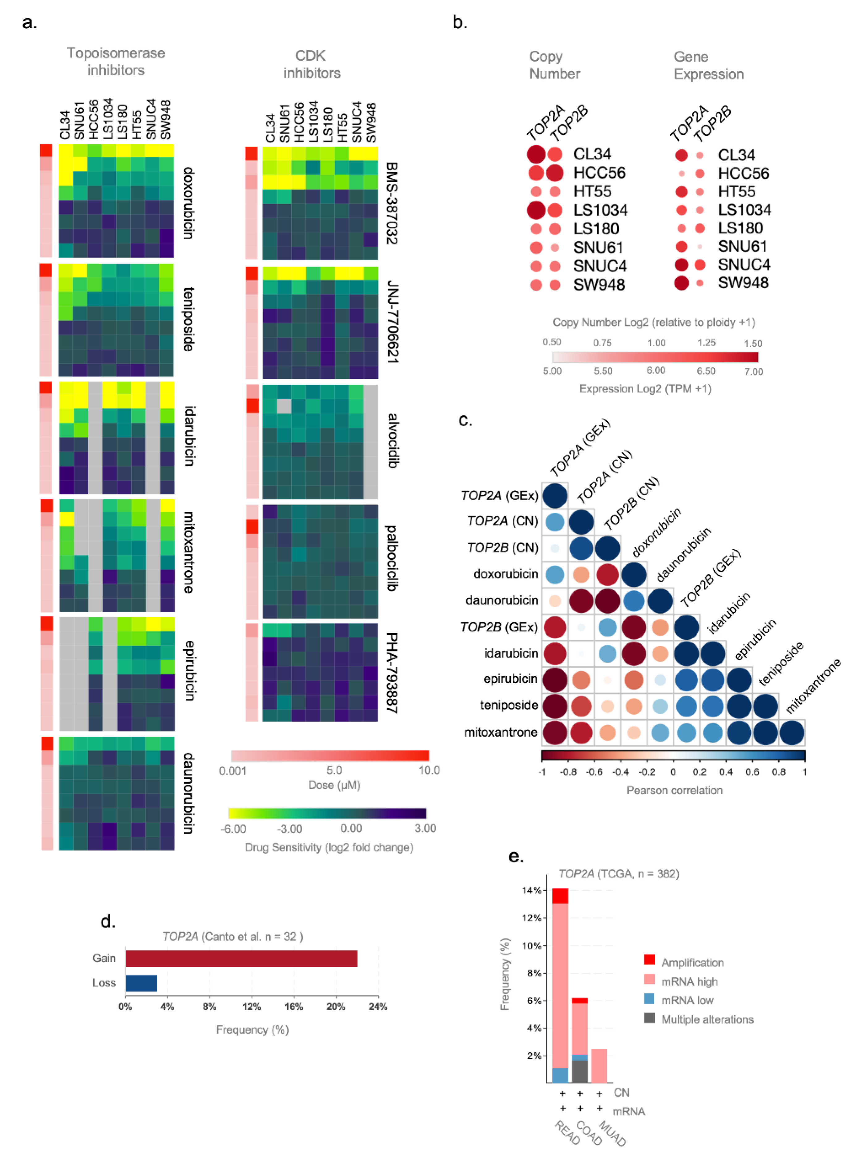 Cancers 13 05492 g004