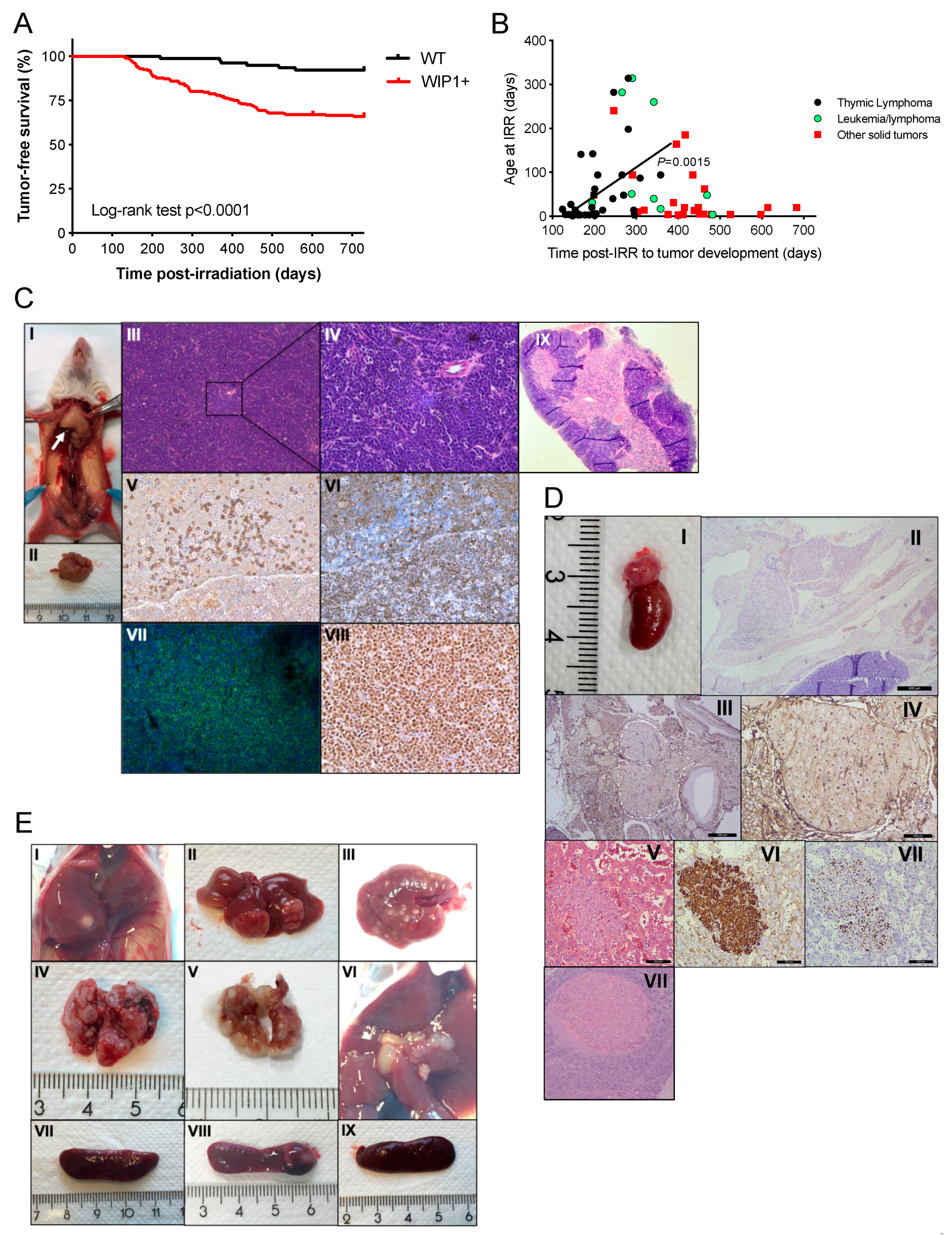 Cancers 13 05493 g002