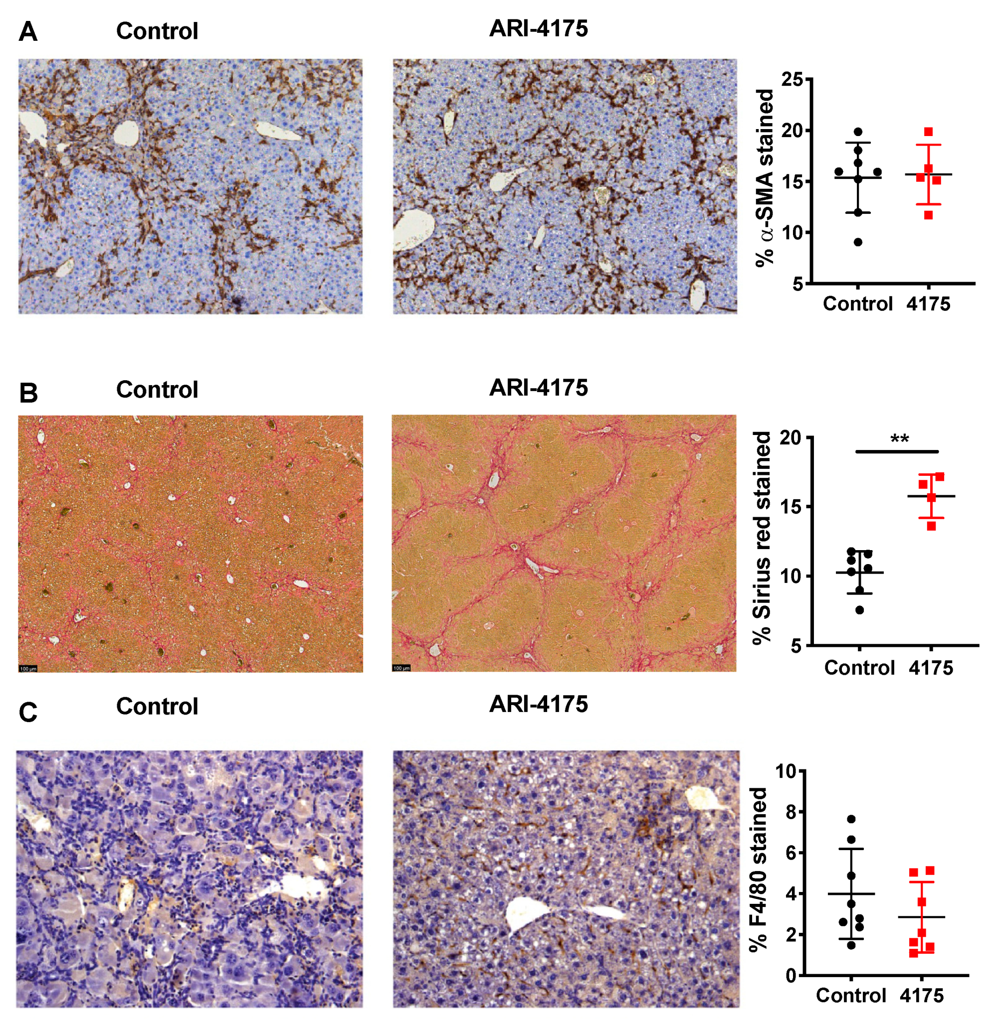 Cancers 13 05495 g006