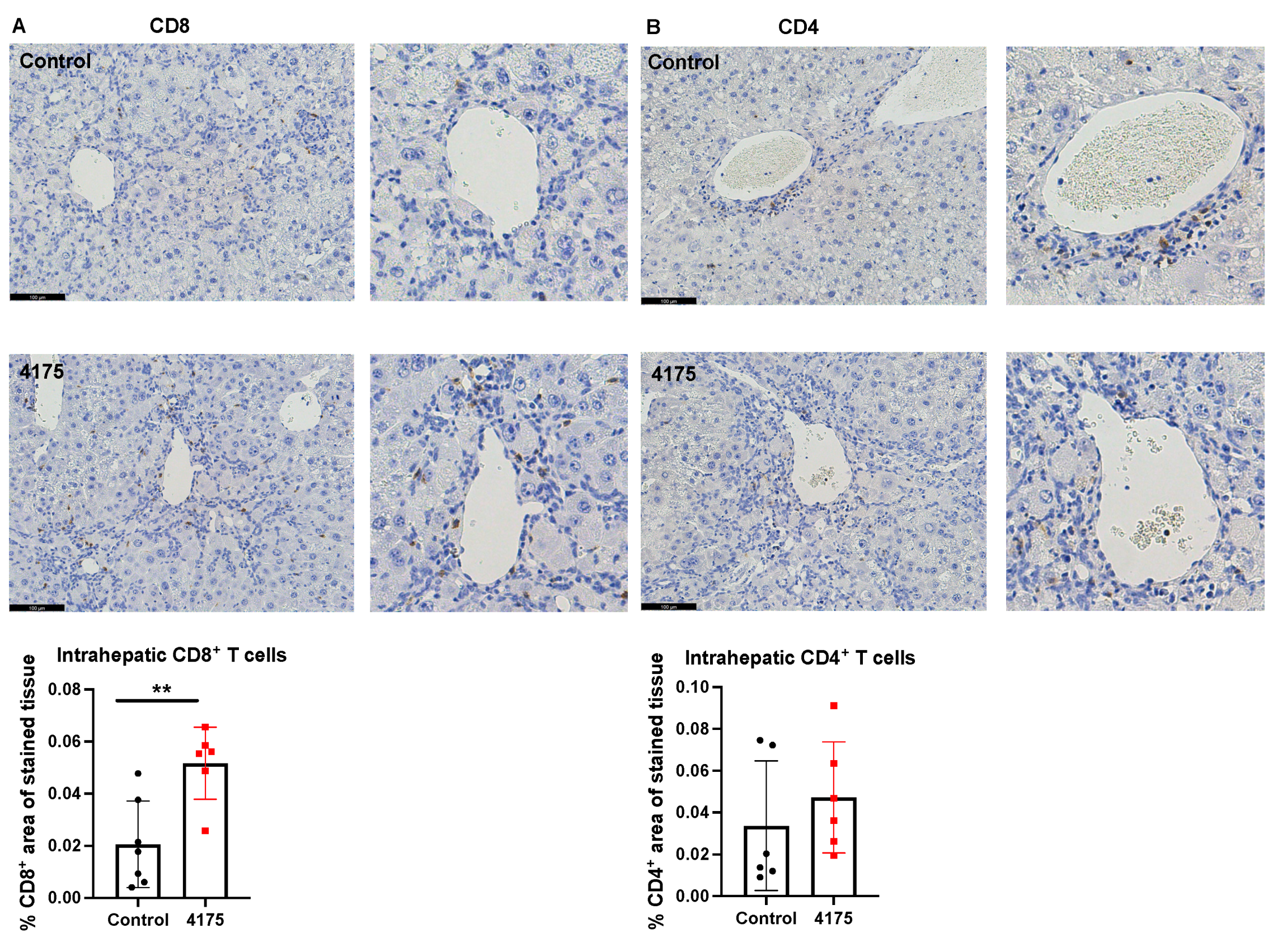 Cancers 13 05495 g007