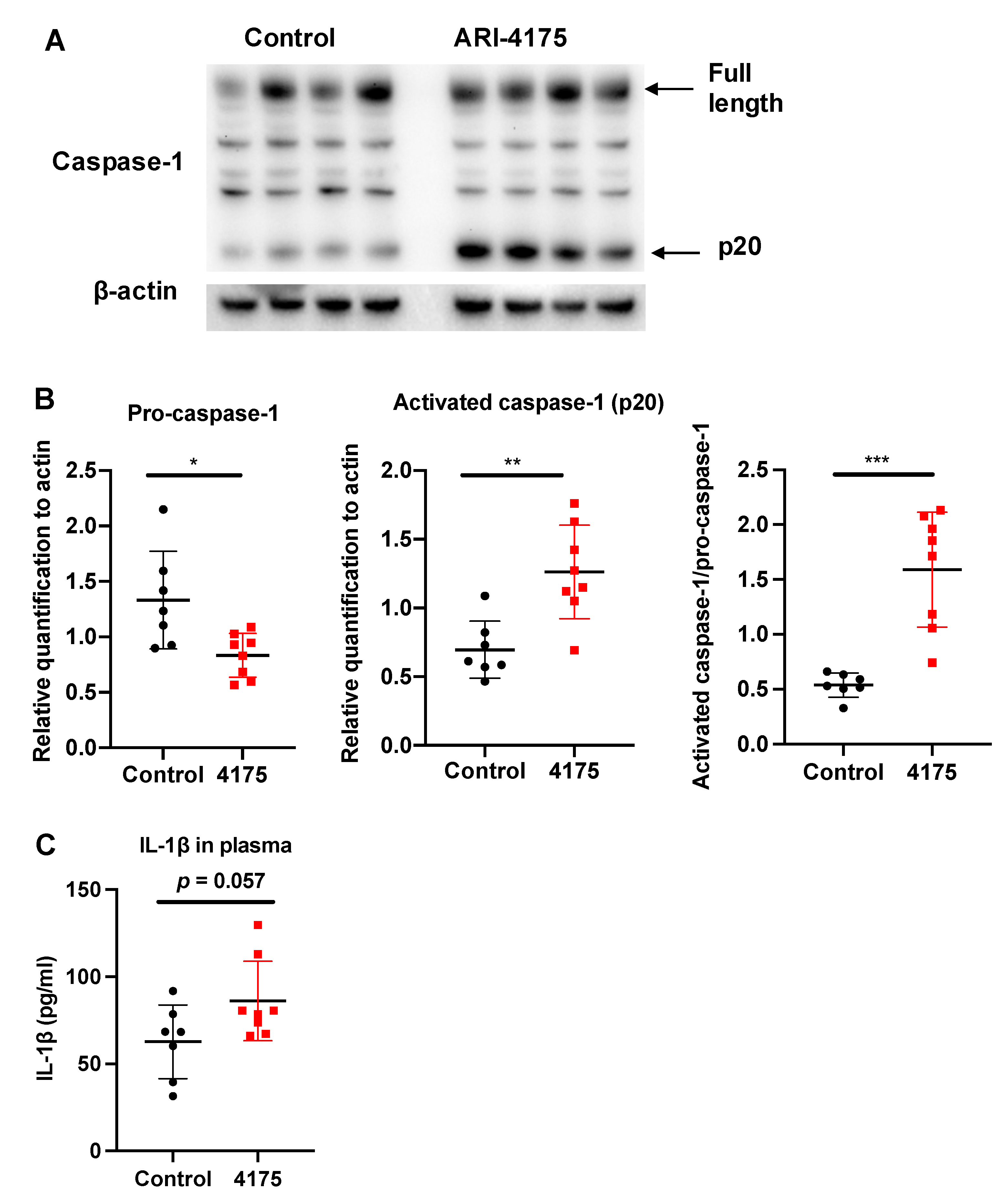 Cancers 13 05495 g009
