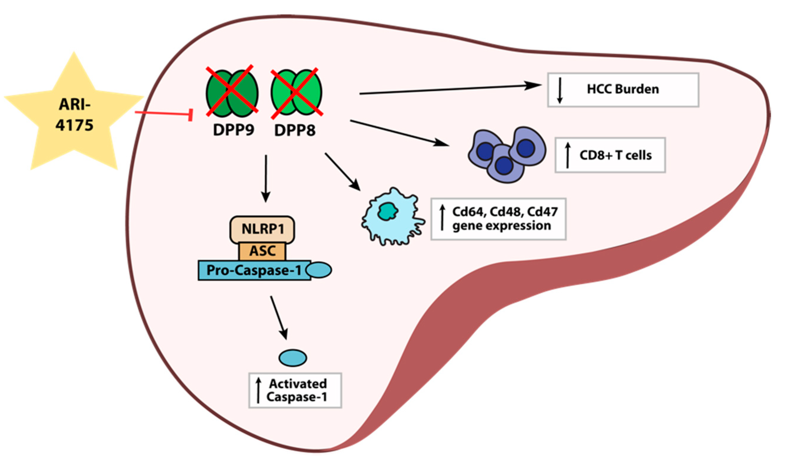 Cancers 13 05495 g010