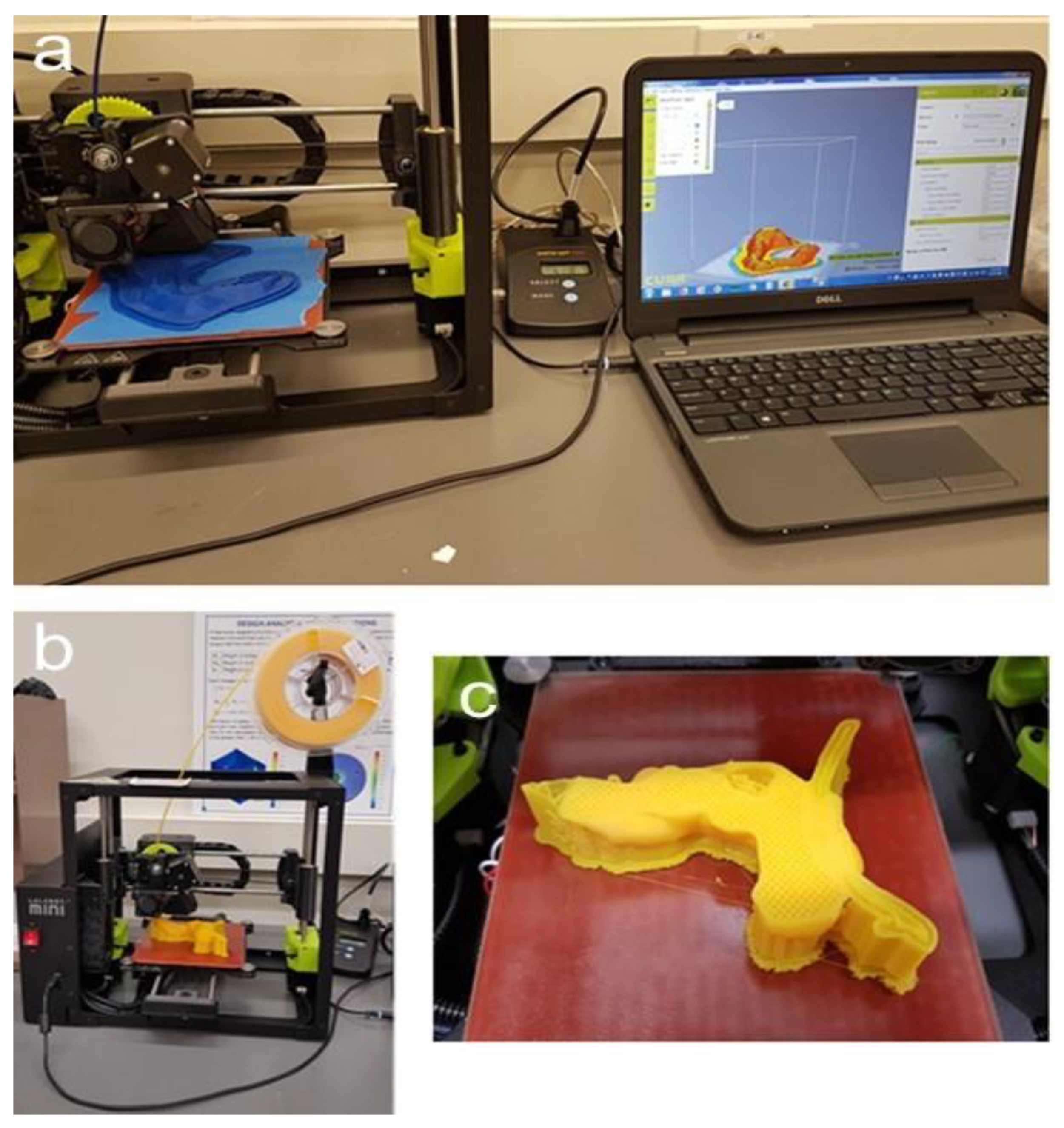 Cancers 13 05496 g006