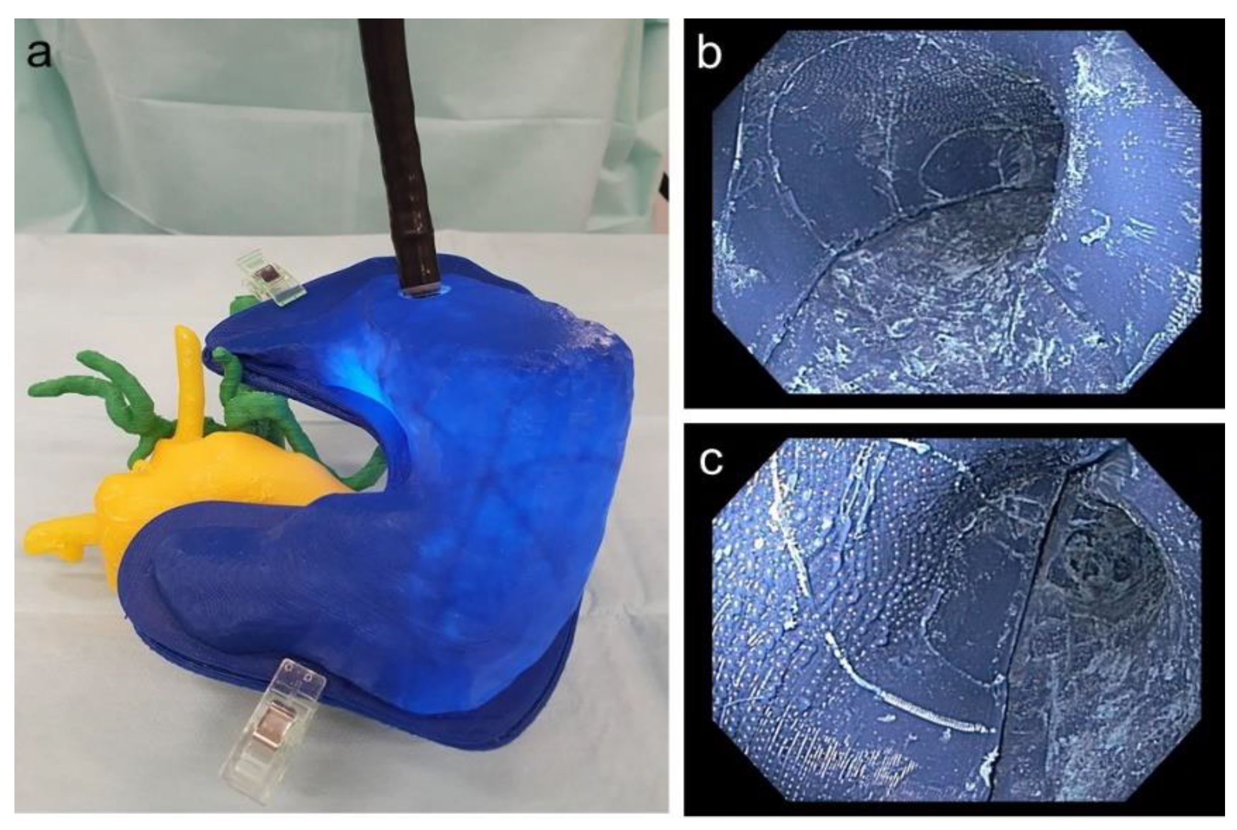 Cancers 13 05496 g010