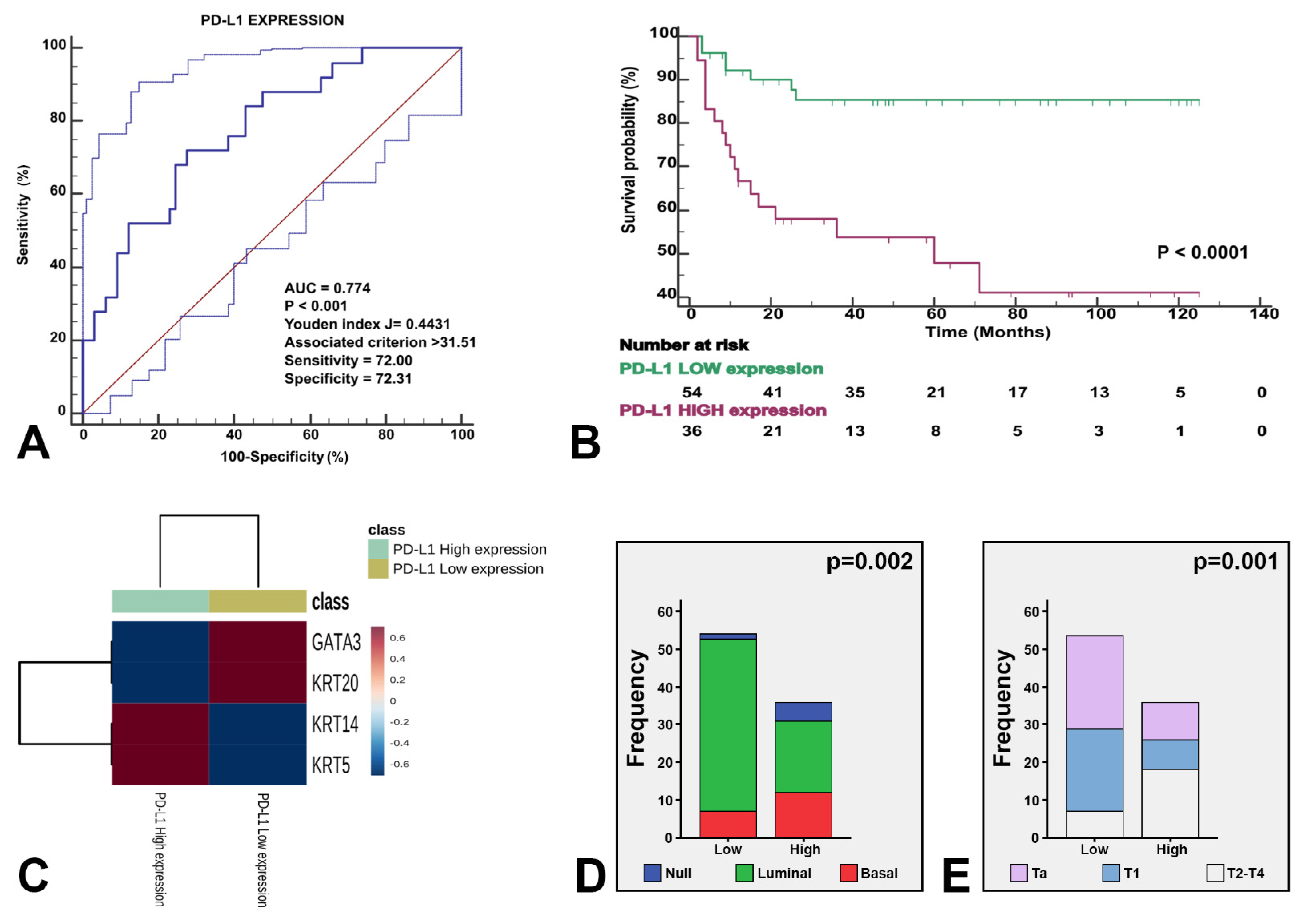 Cancers 13 05500 g005
