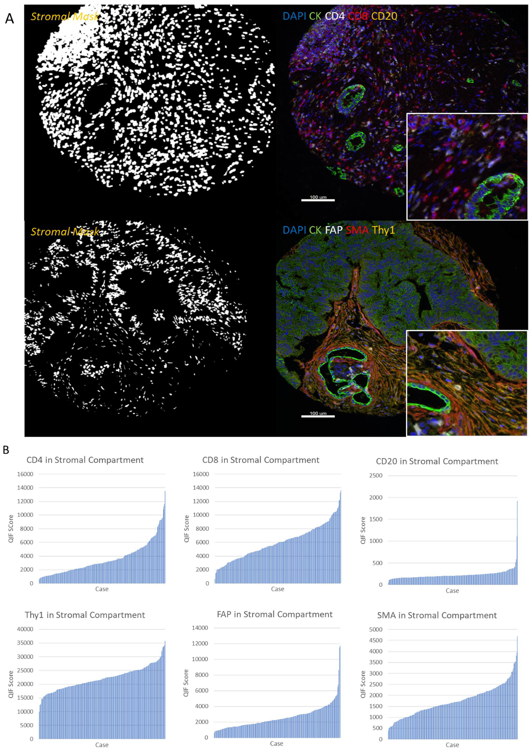Cancers 13 05501 g001a
