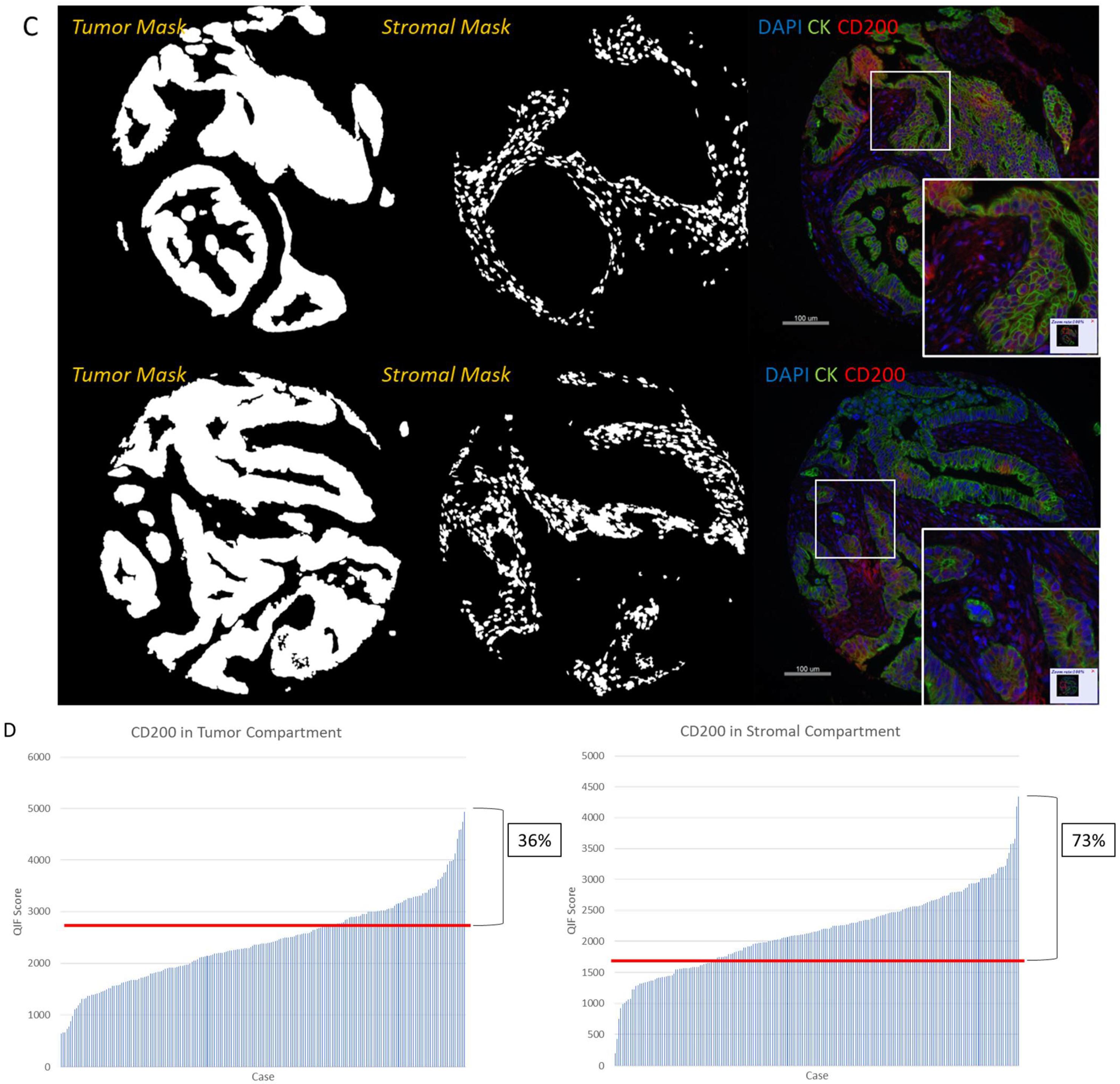 Cancers 13 05501 g001b