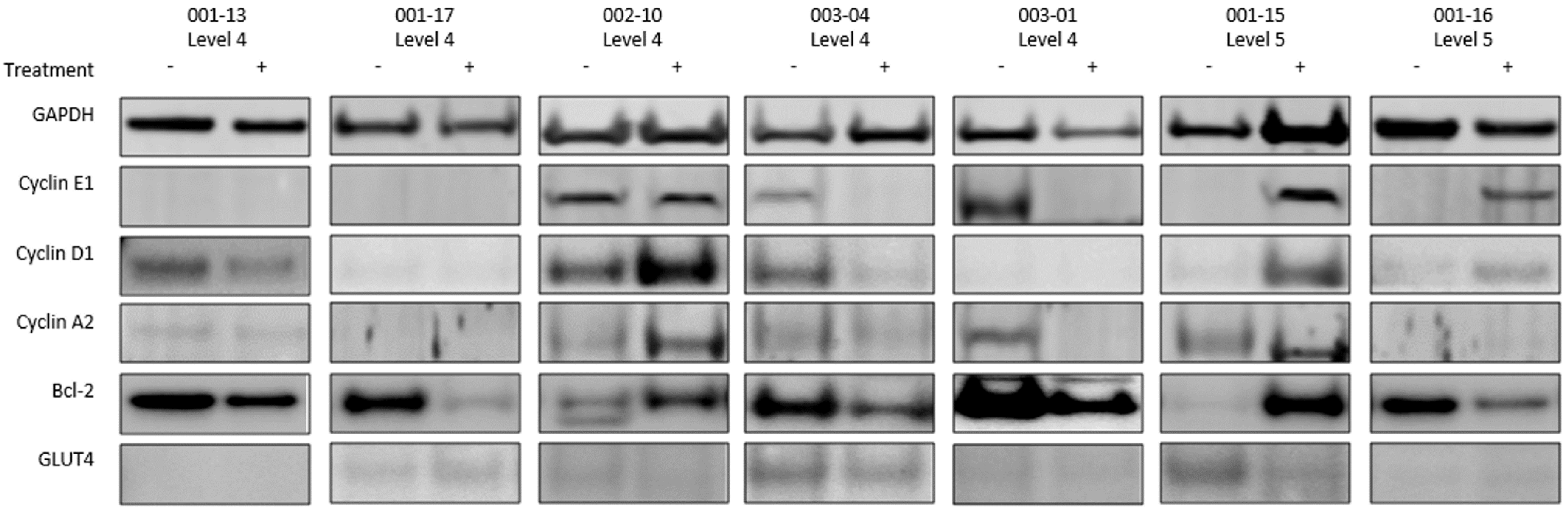 Cancers 13 05504 g0a2