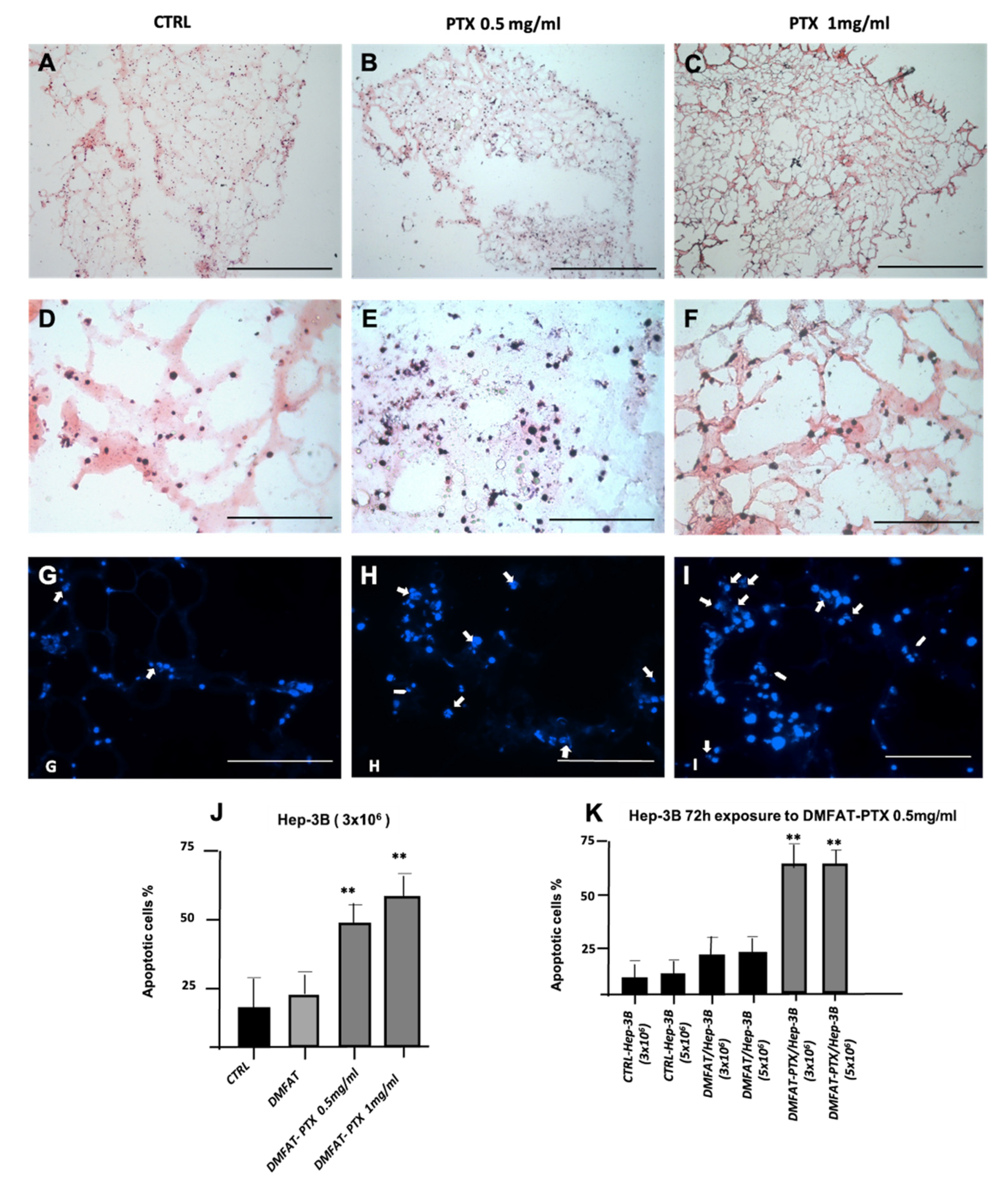 Cancers 13 05505 g002