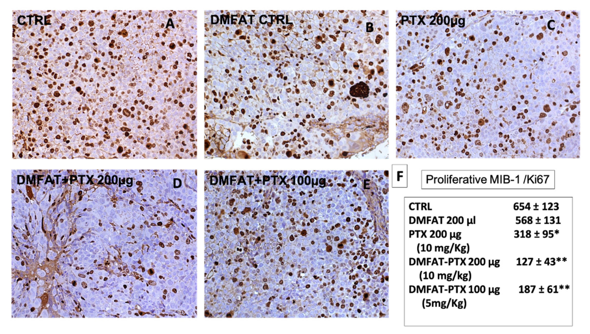 Cancers 13 05505 g005