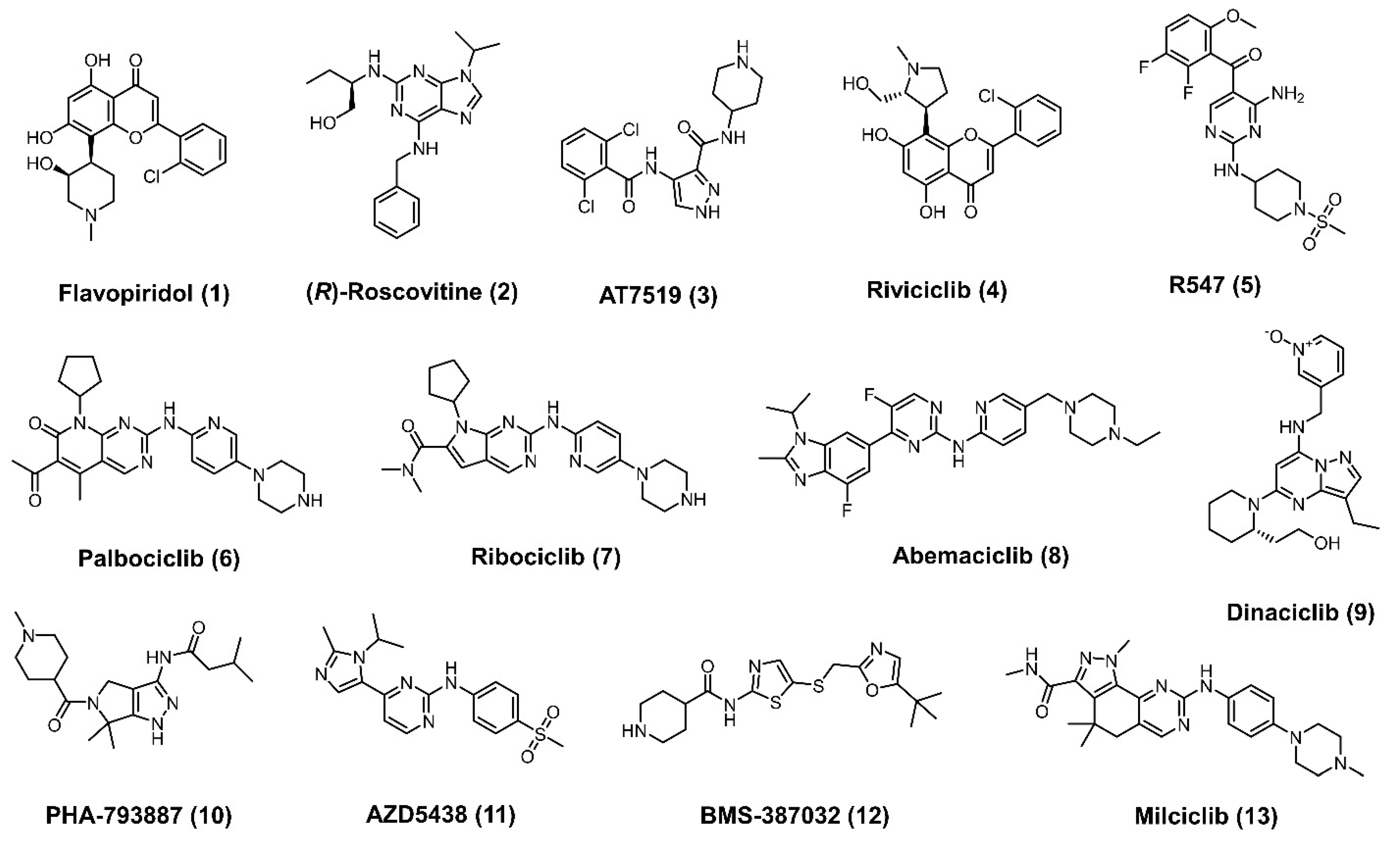 Cancers 13 05506 g001