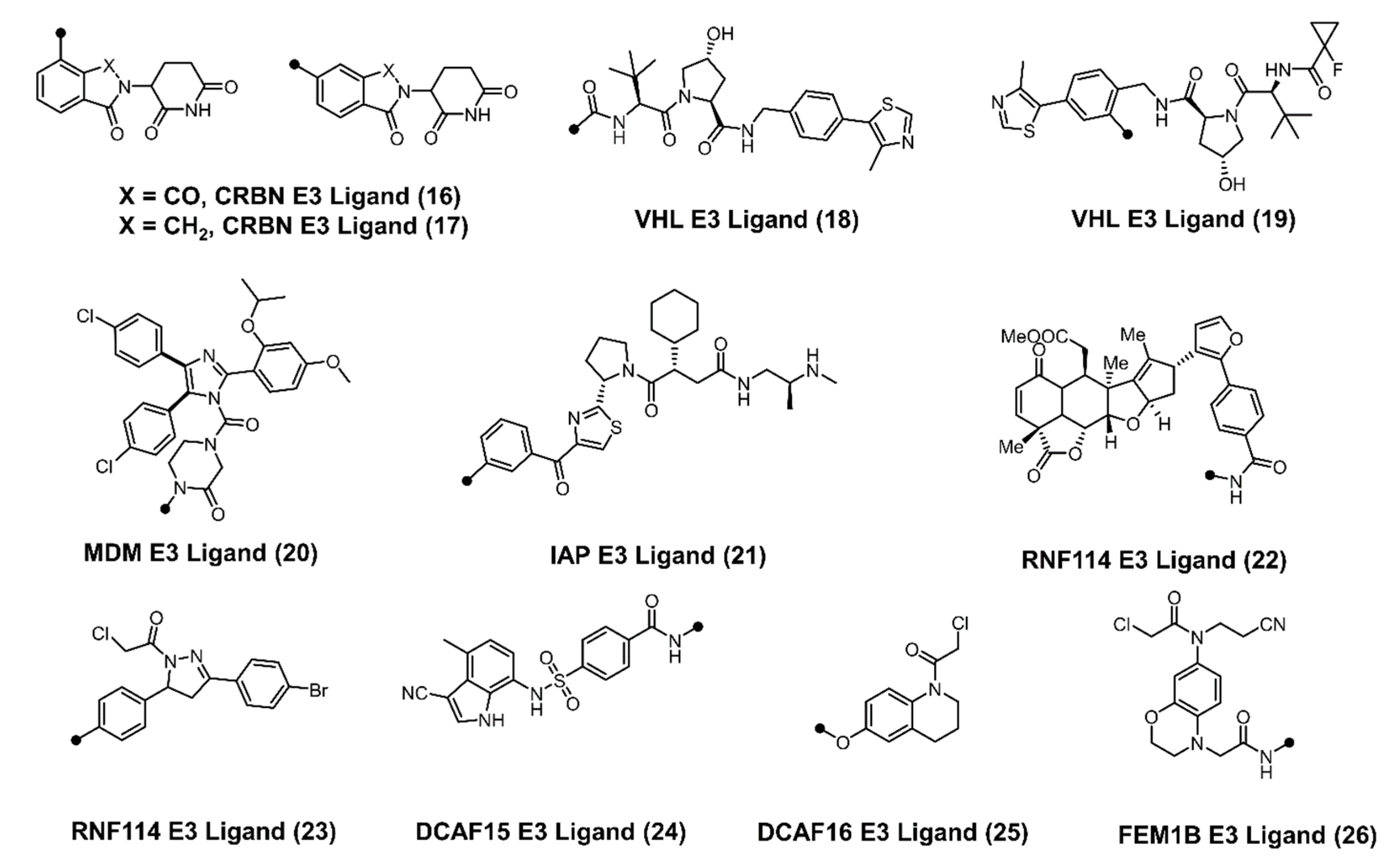 Cancers 13 05506 g004