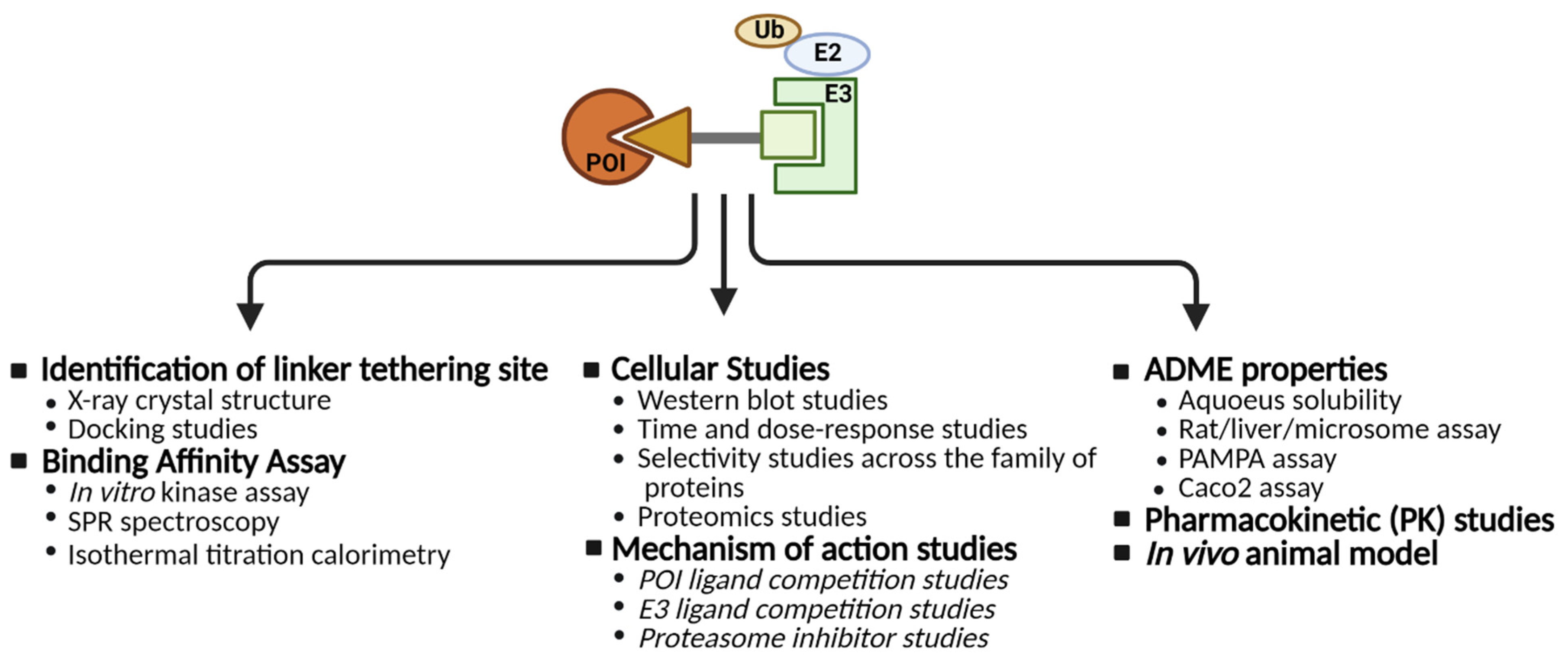 Cancers 13 05506 g005