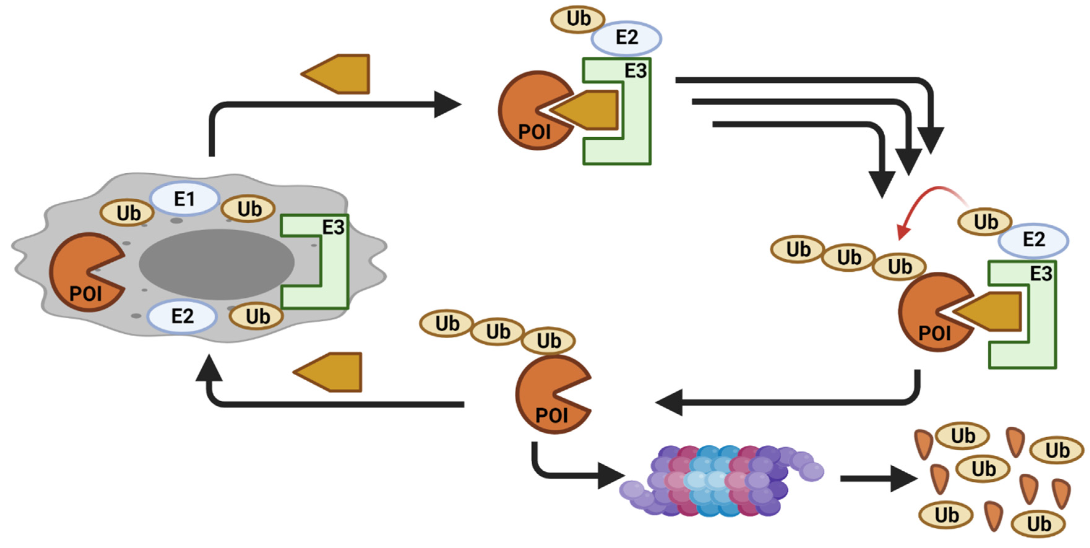 Cancers 13 05506 g009
