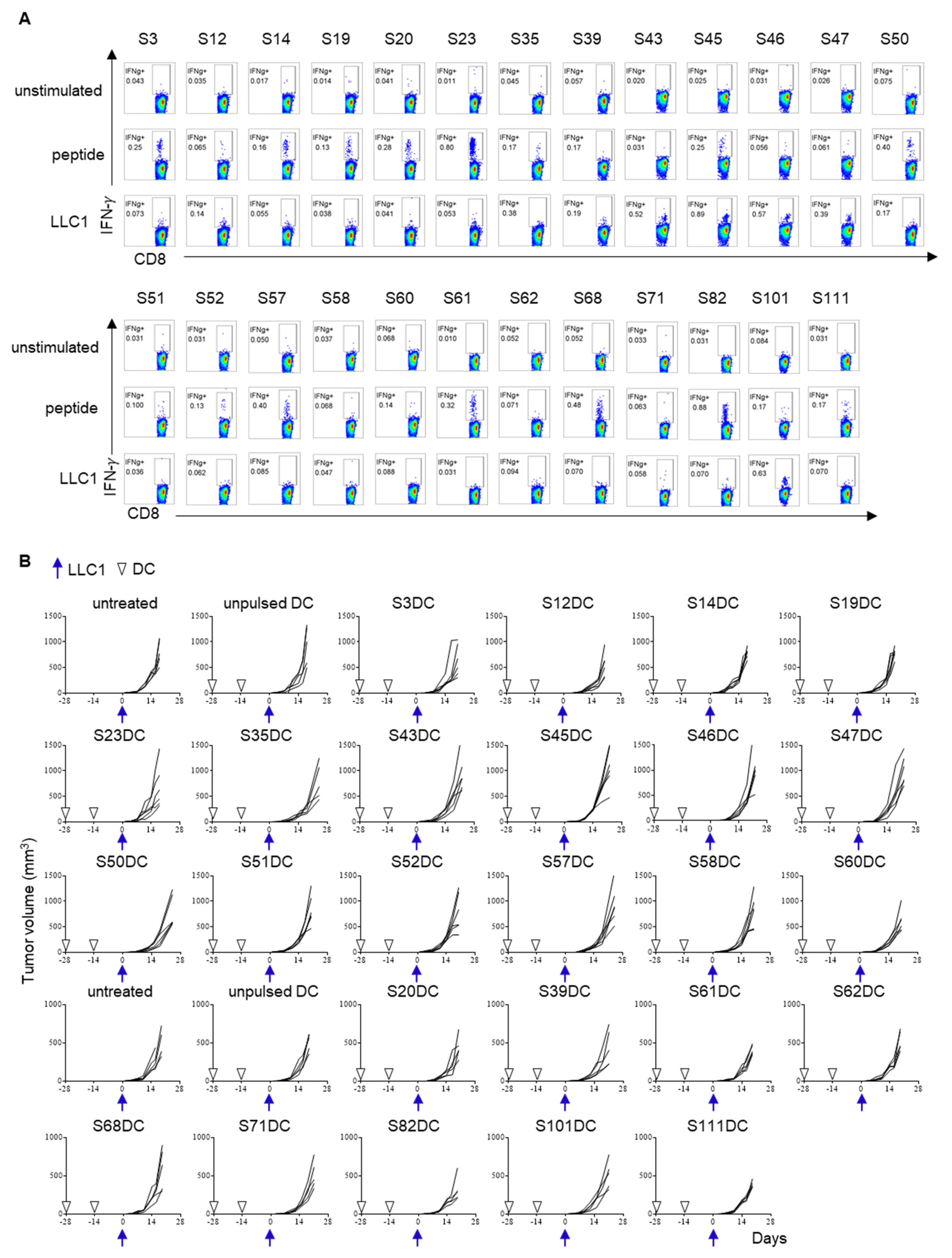 Cancers 13 05508 g003