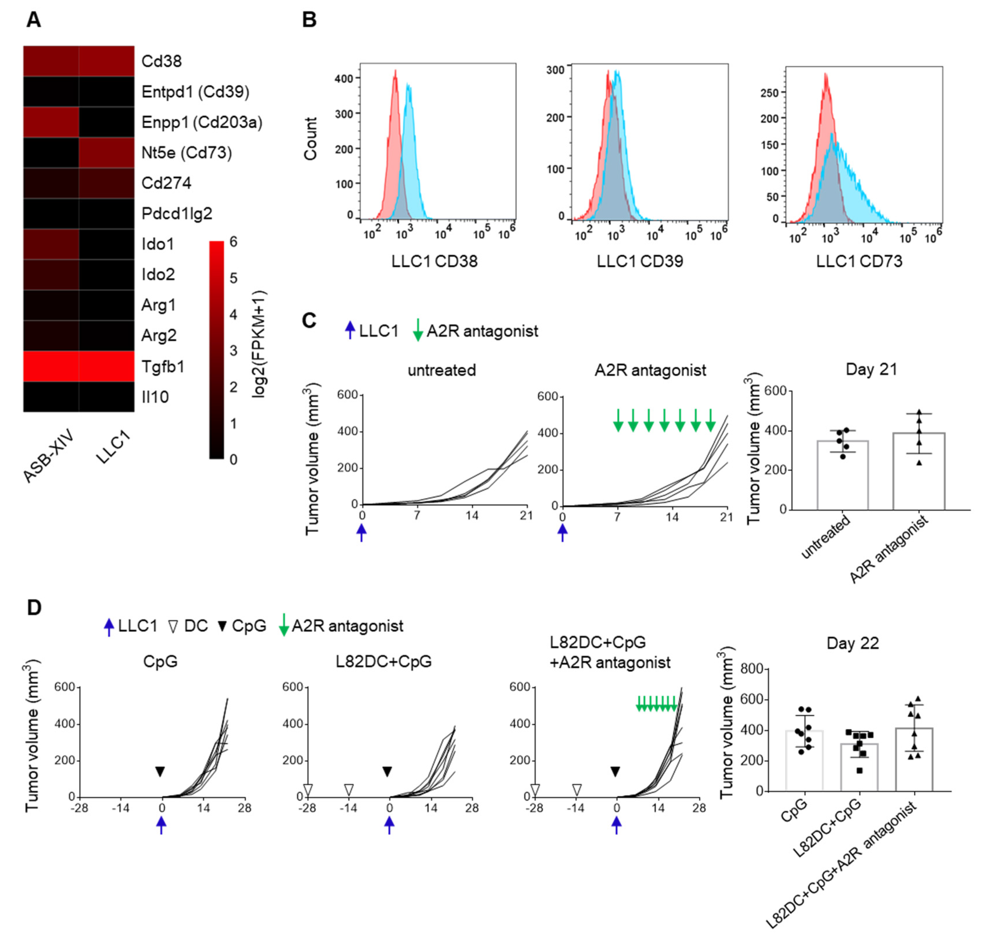 Cancers 13 05508 g006