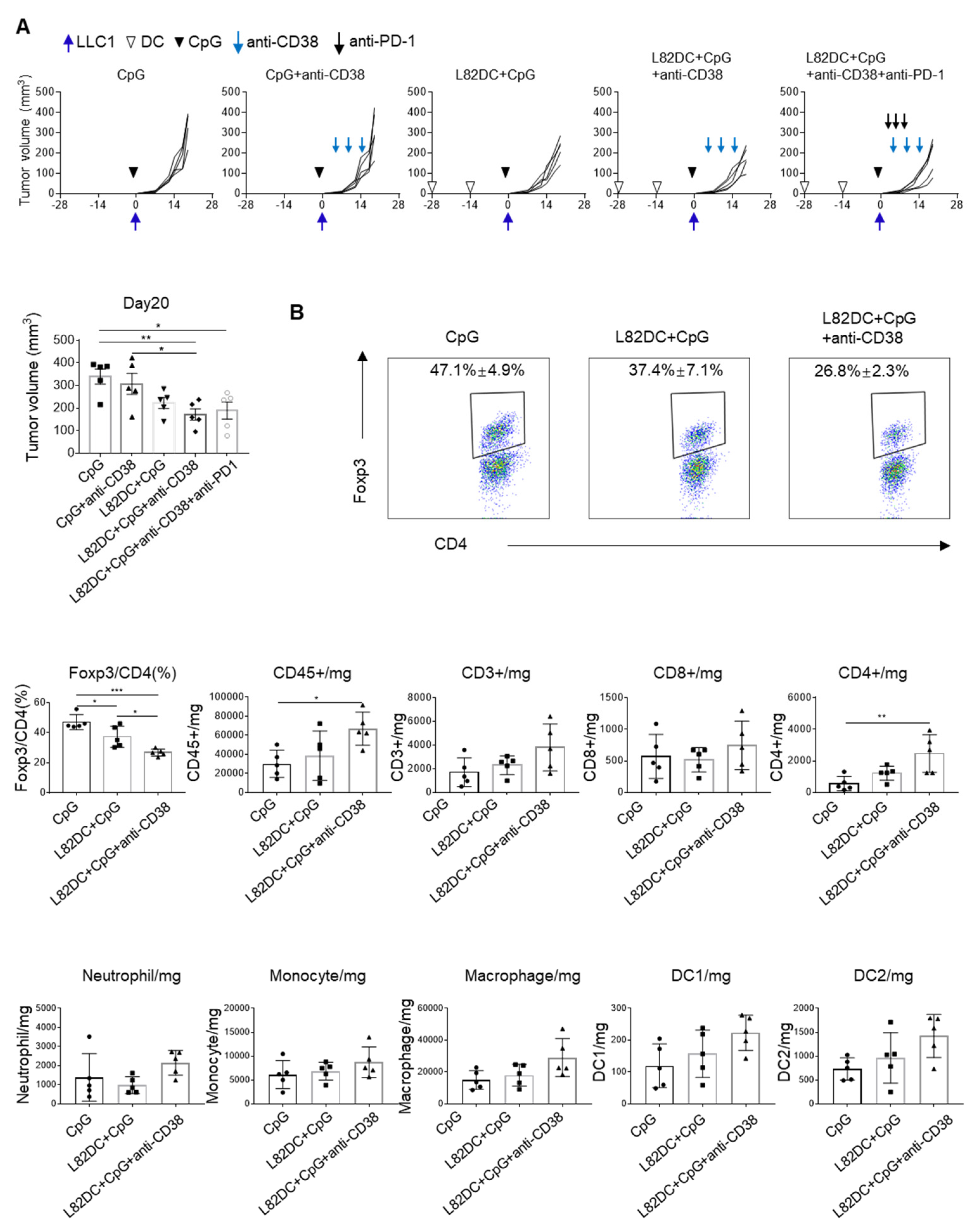 Cancers 13 05508 g007