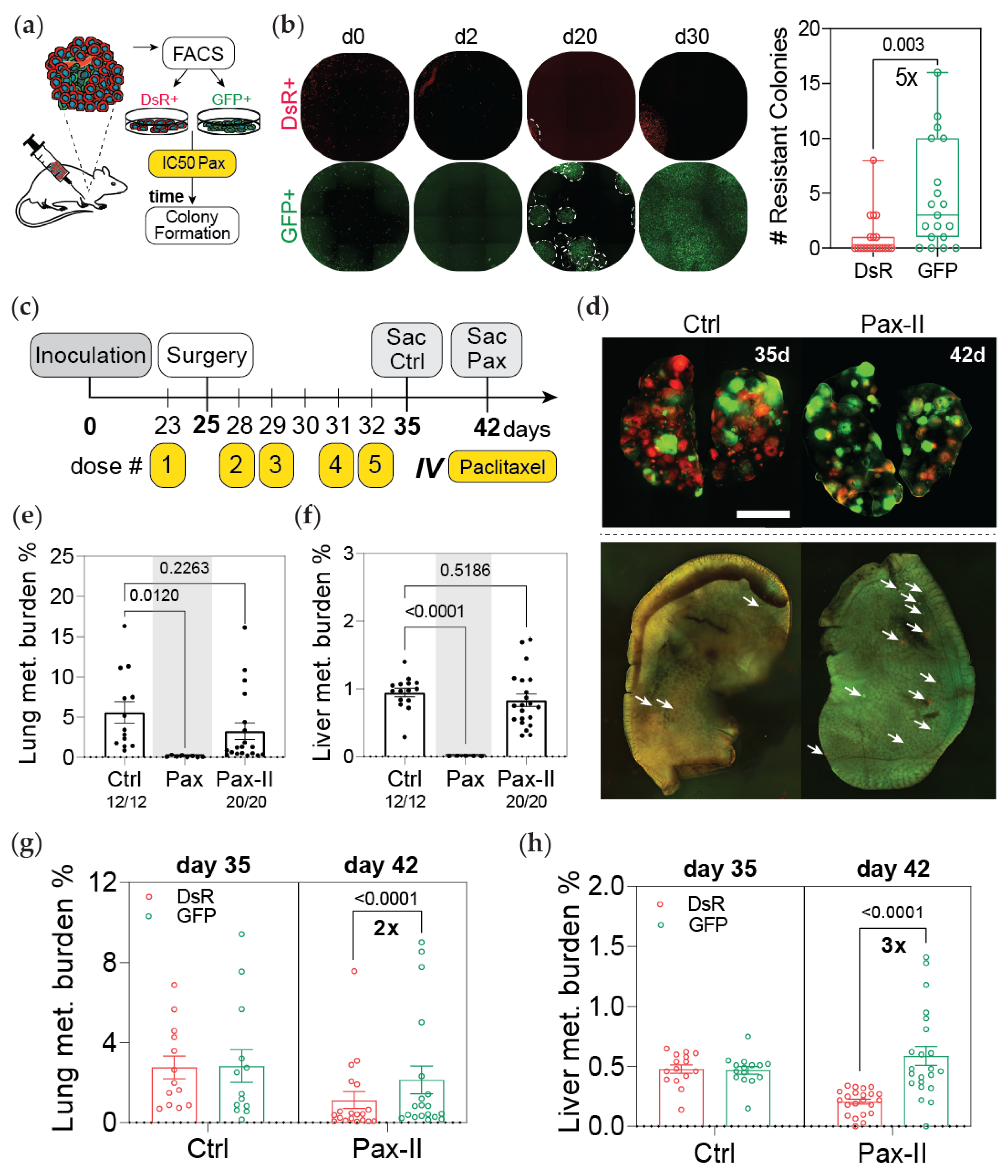 Cancers 13 05509 g004
