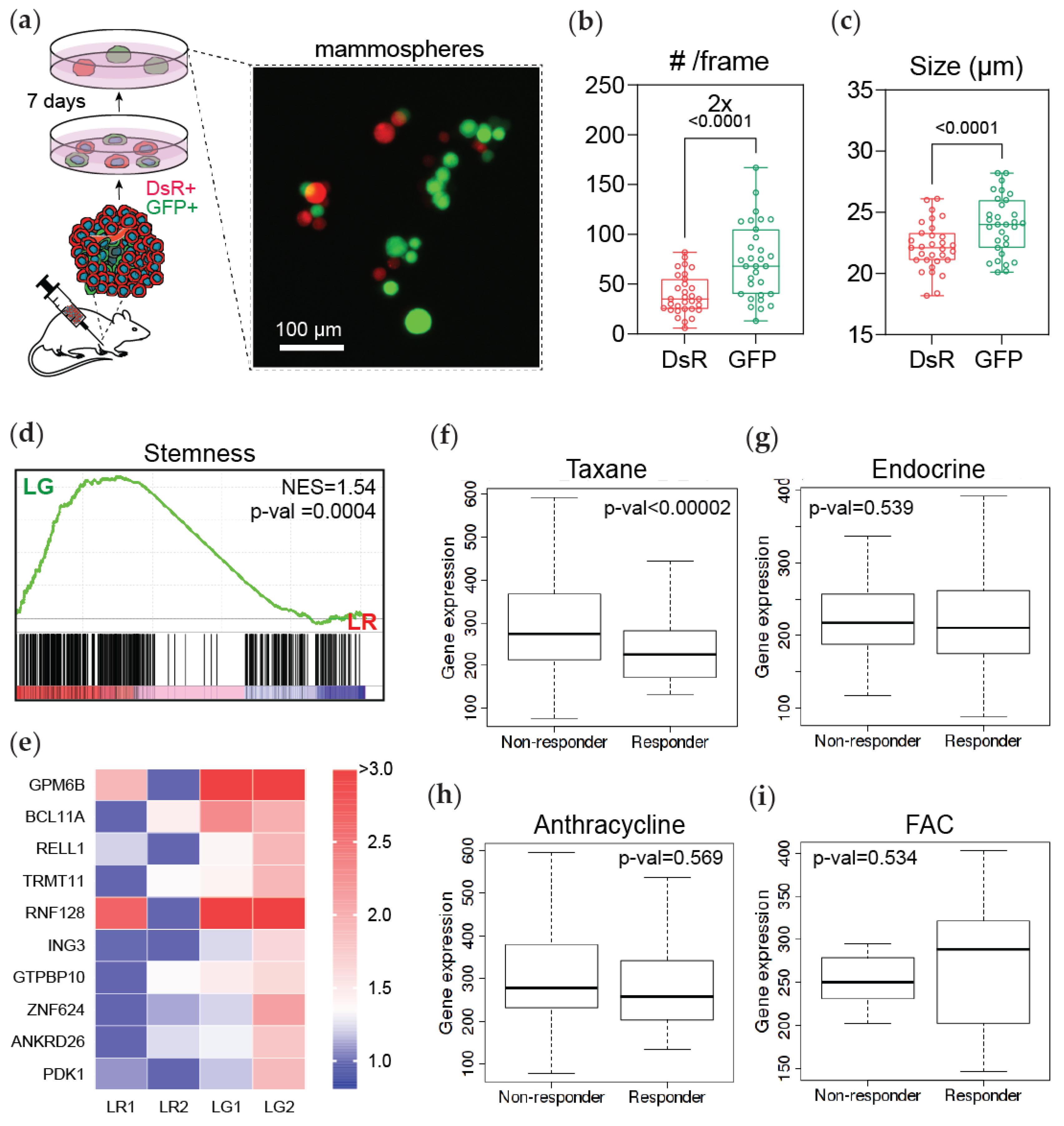 Cancers 13 05509 g005