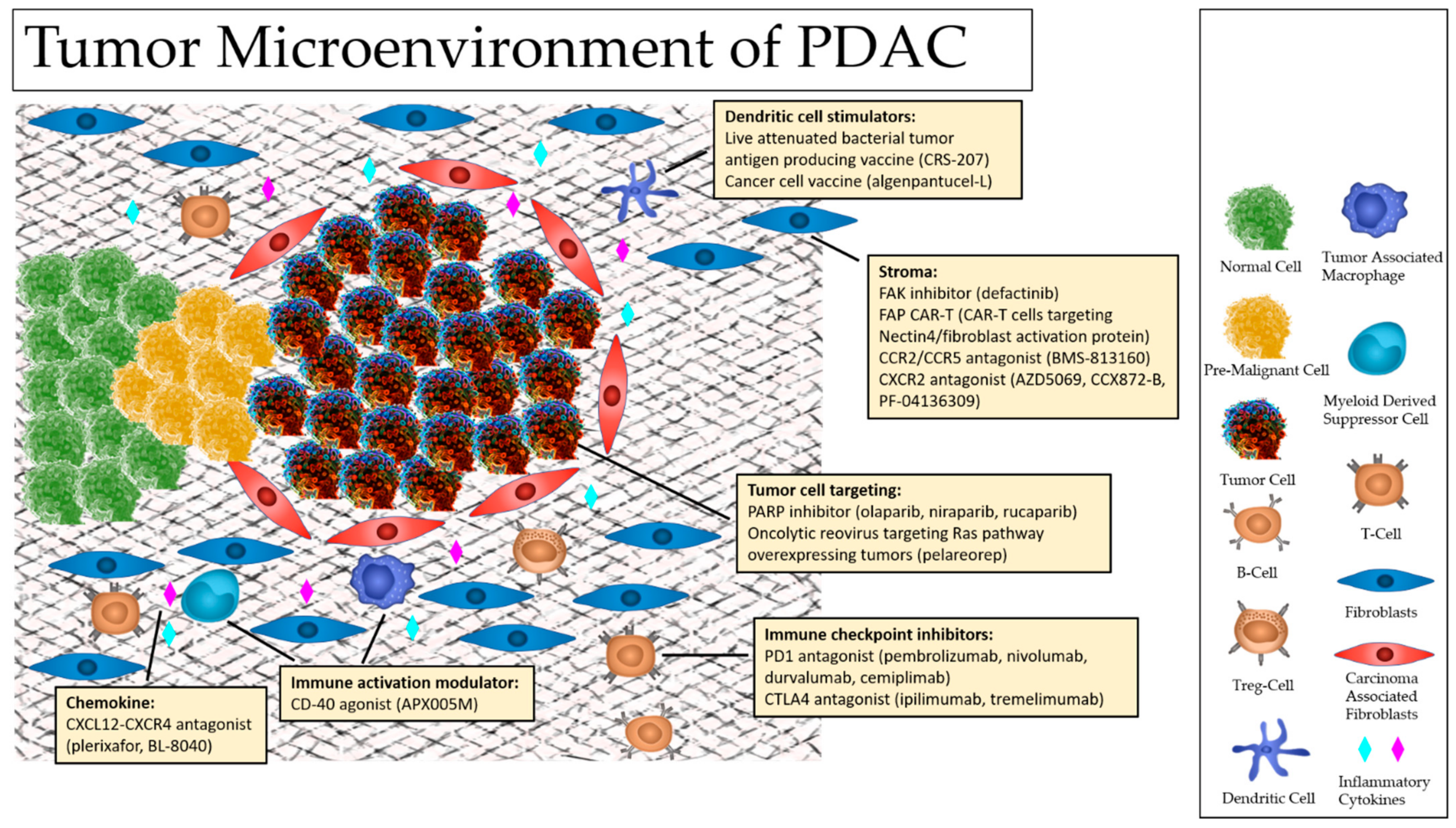 Cancers 13 05510 g001