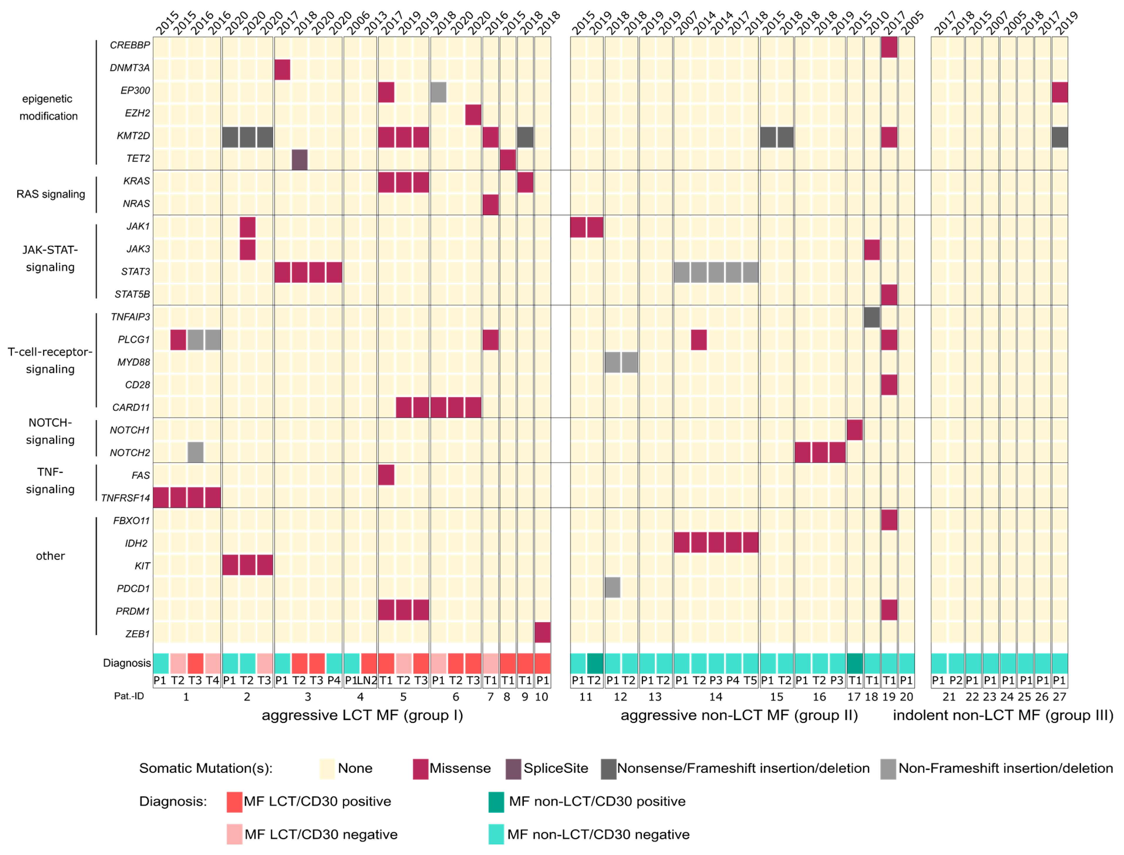 Cancers 13 05512 g001