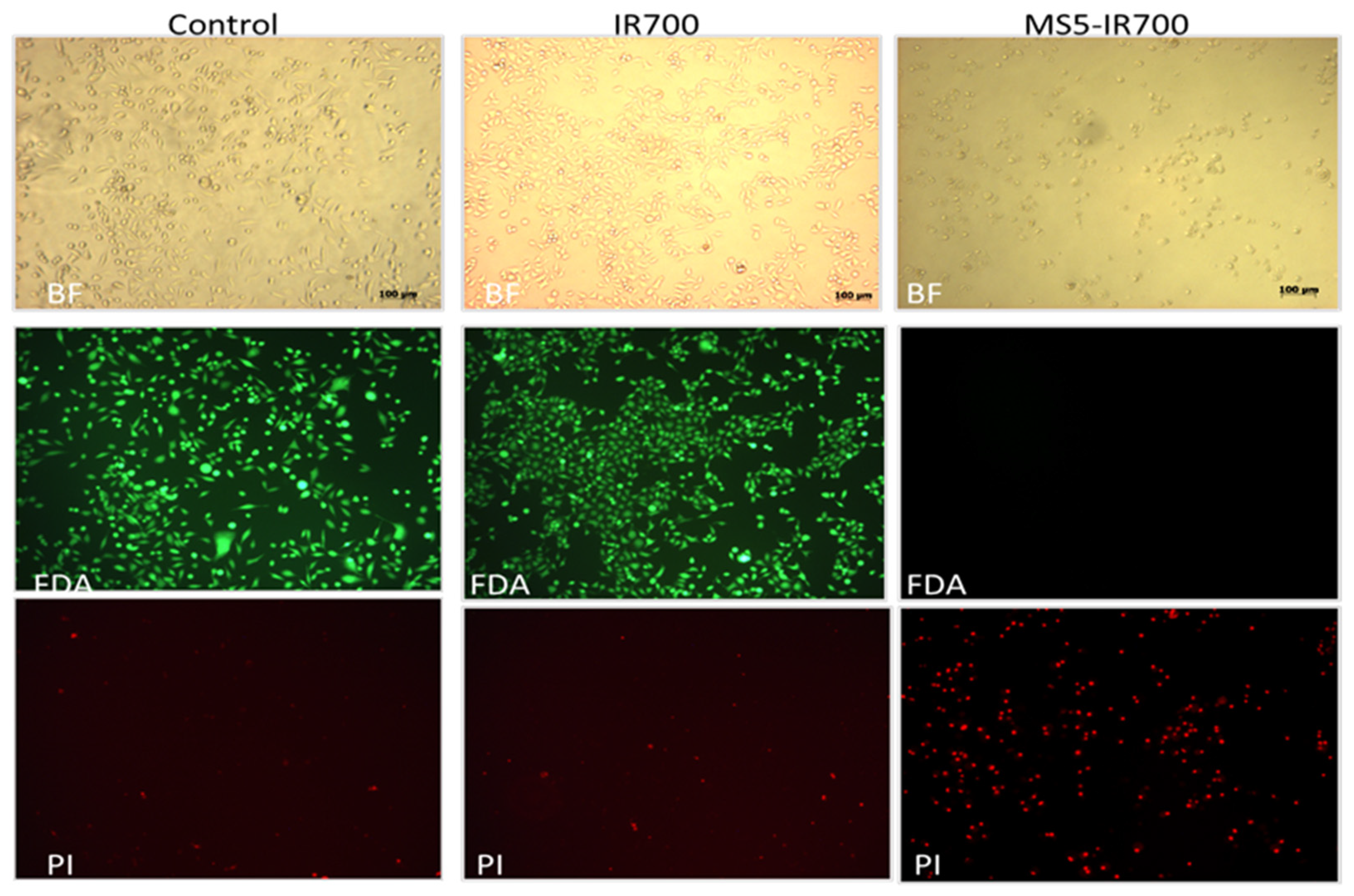 Cancers 13 05513 i001