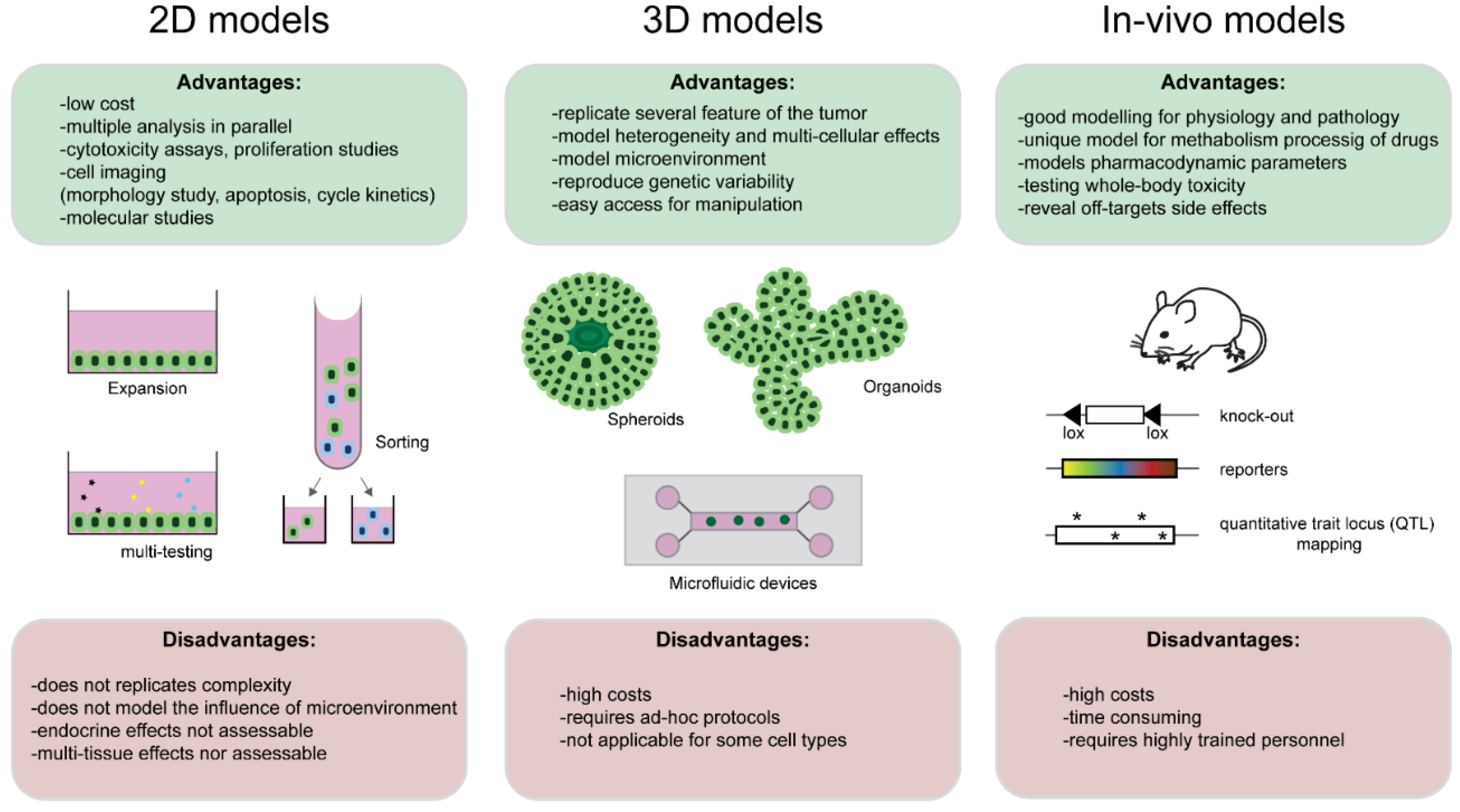 Cancers 13 05515 g003