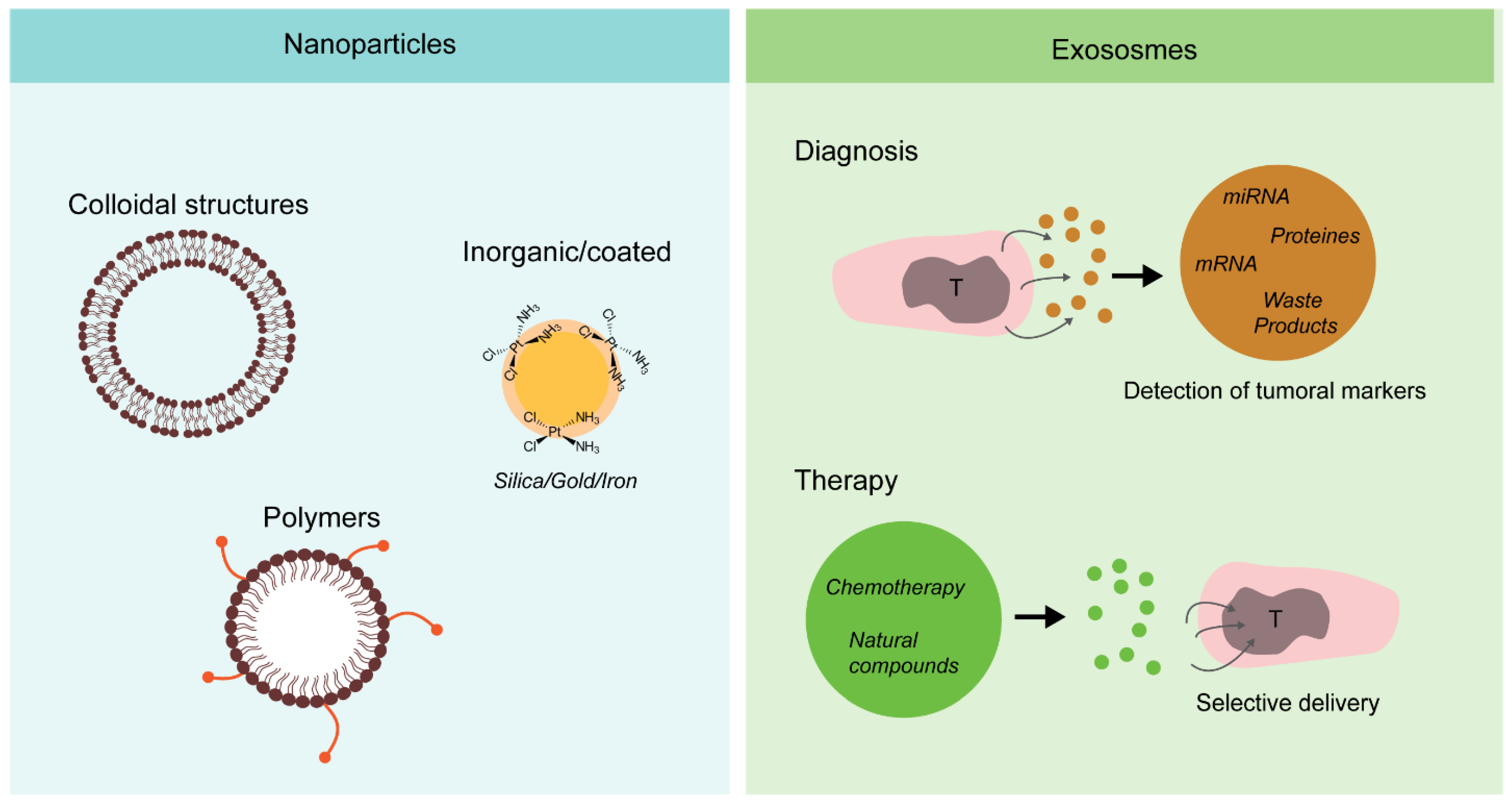 Cancers 13 05515 g004