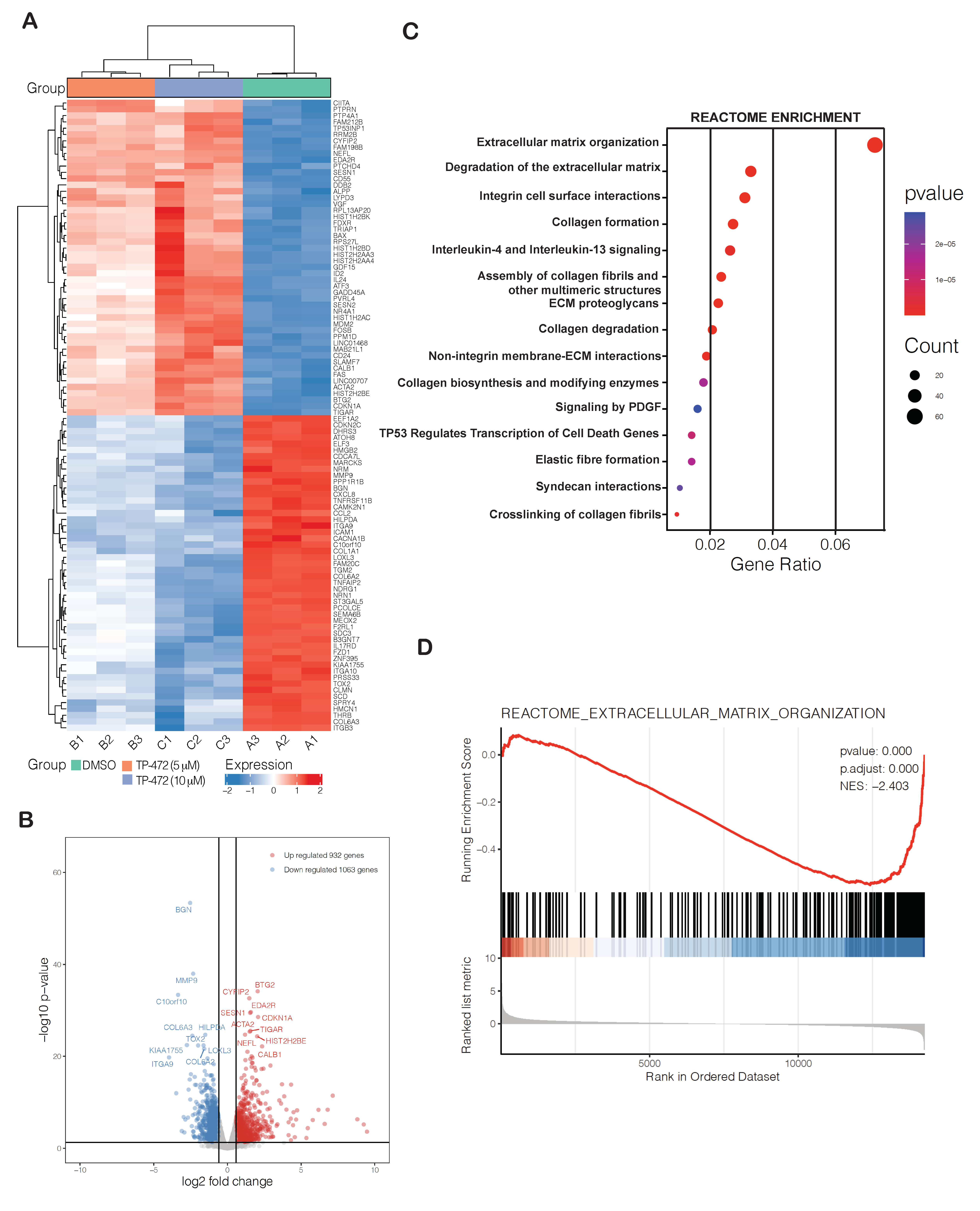 Cancers 13 05516 g004 Cancers 13 05516 g004