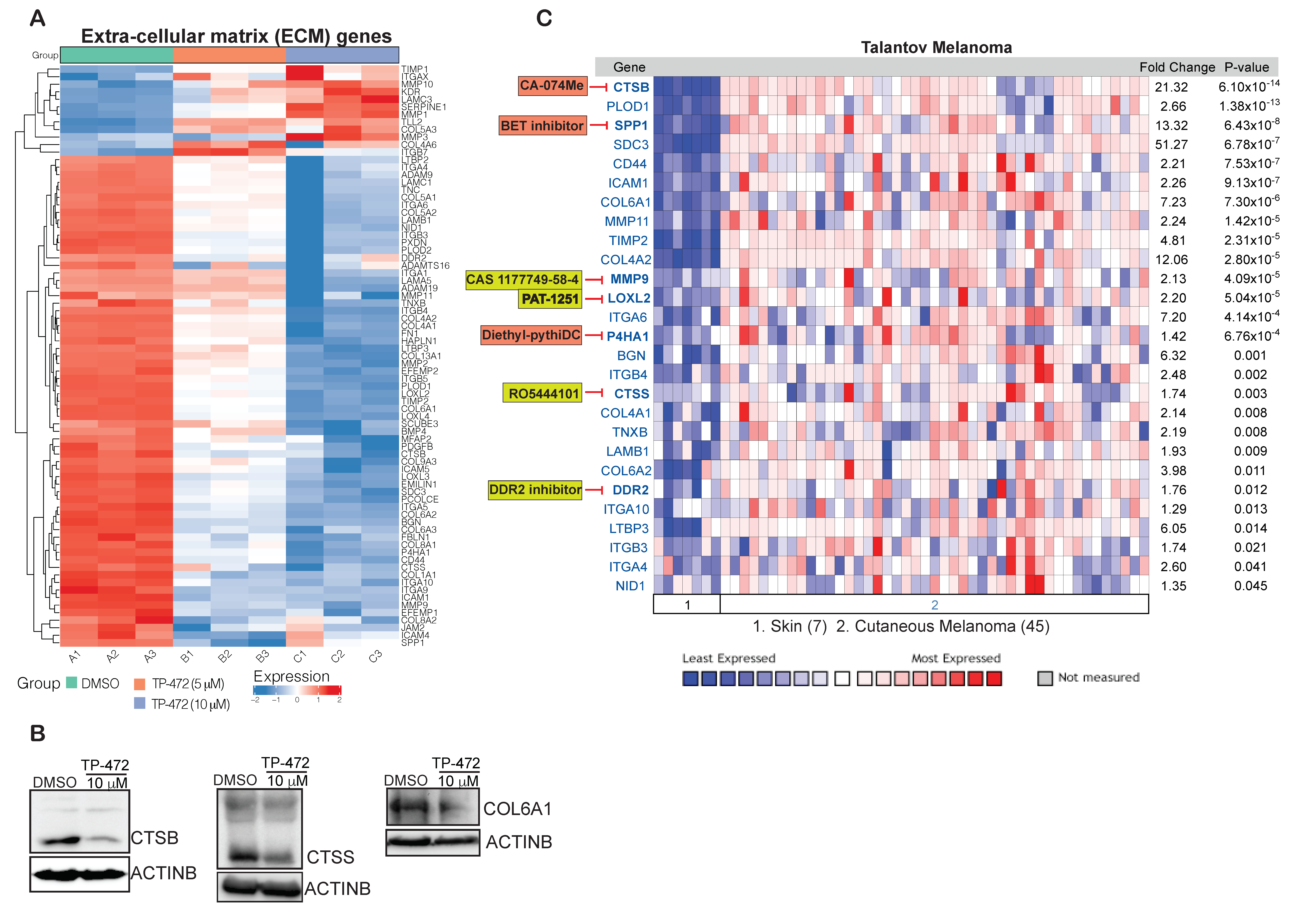 Cancers 13 05516 g005 Cancers 13 05516 g005