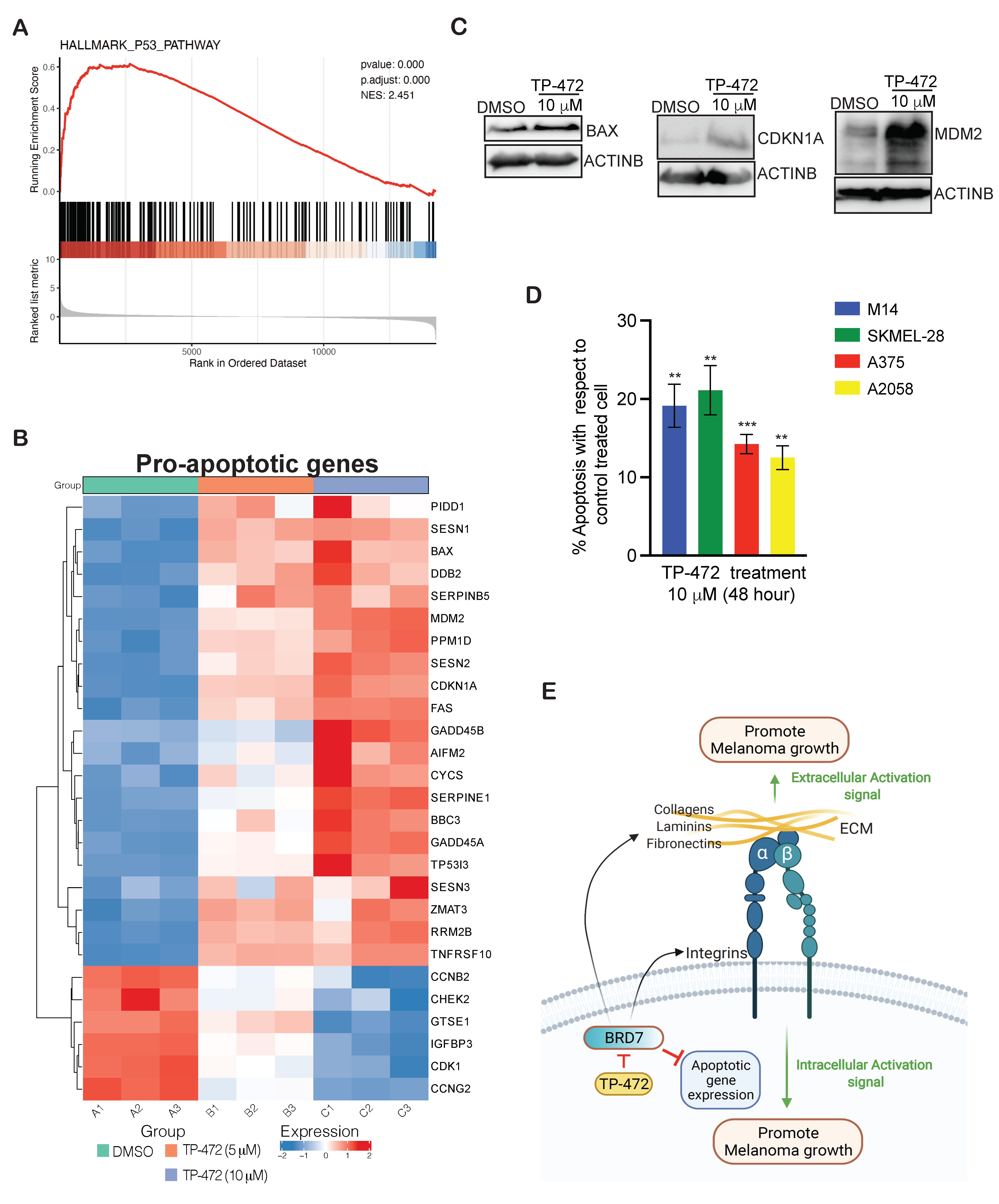 Cancers 13 05516 g006 Cancers 13 05516 g006