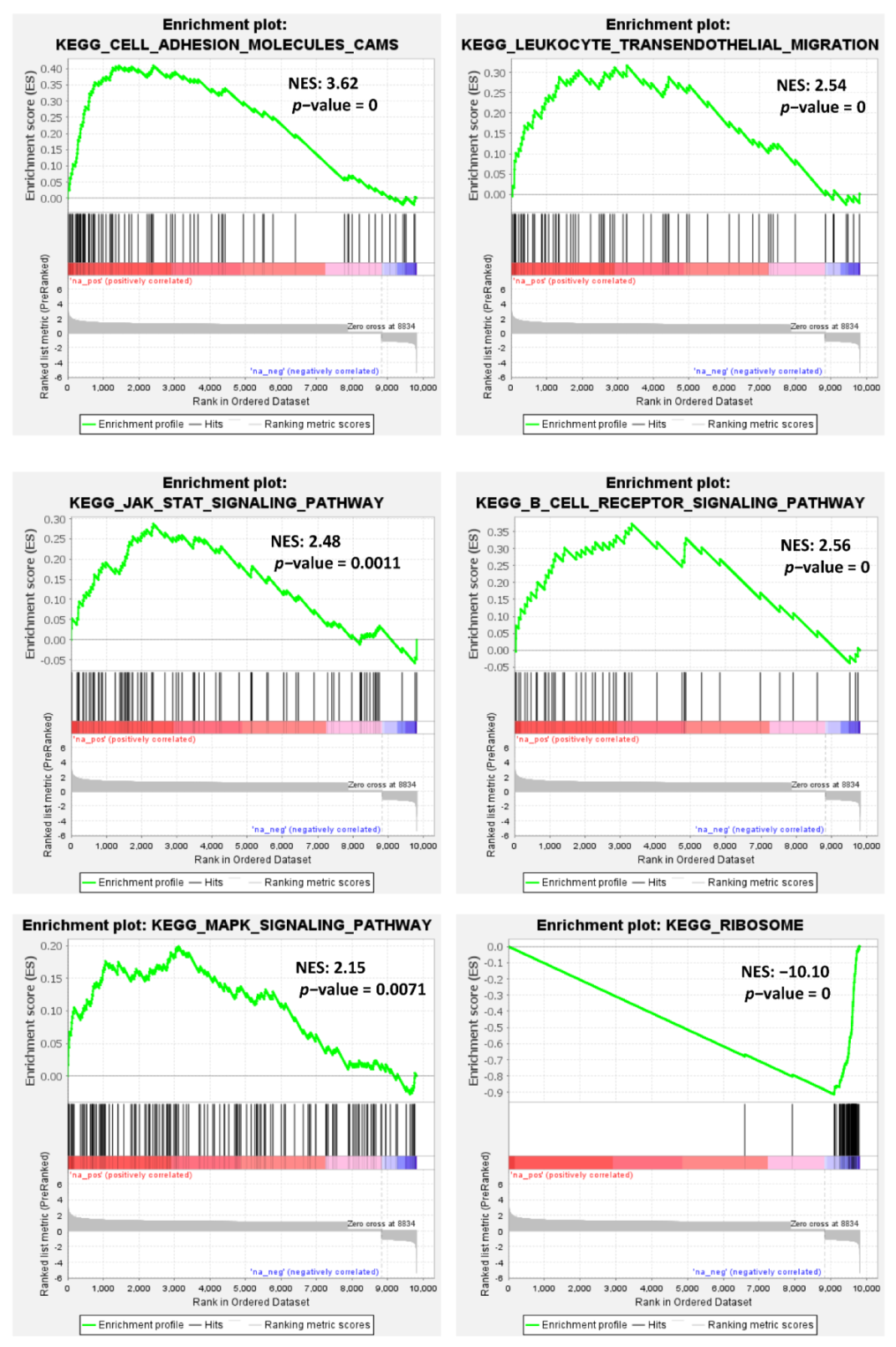 Cancers 13 05518 g005 Cancers 13 05518 g005