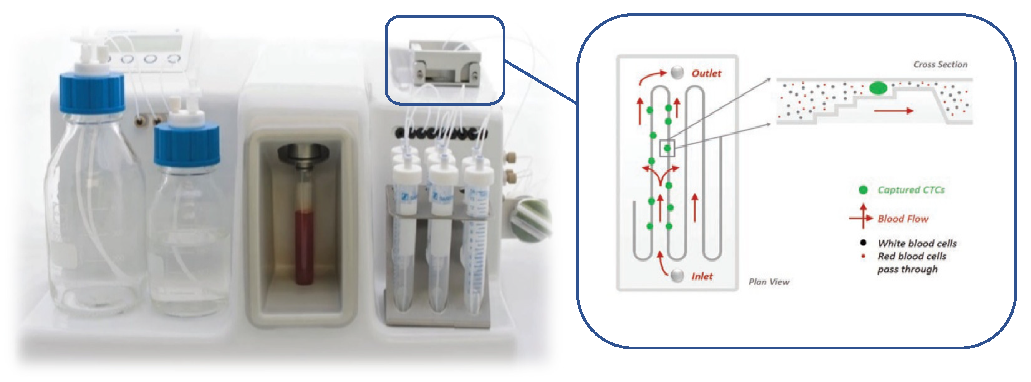 Cancers 13 05519 g001