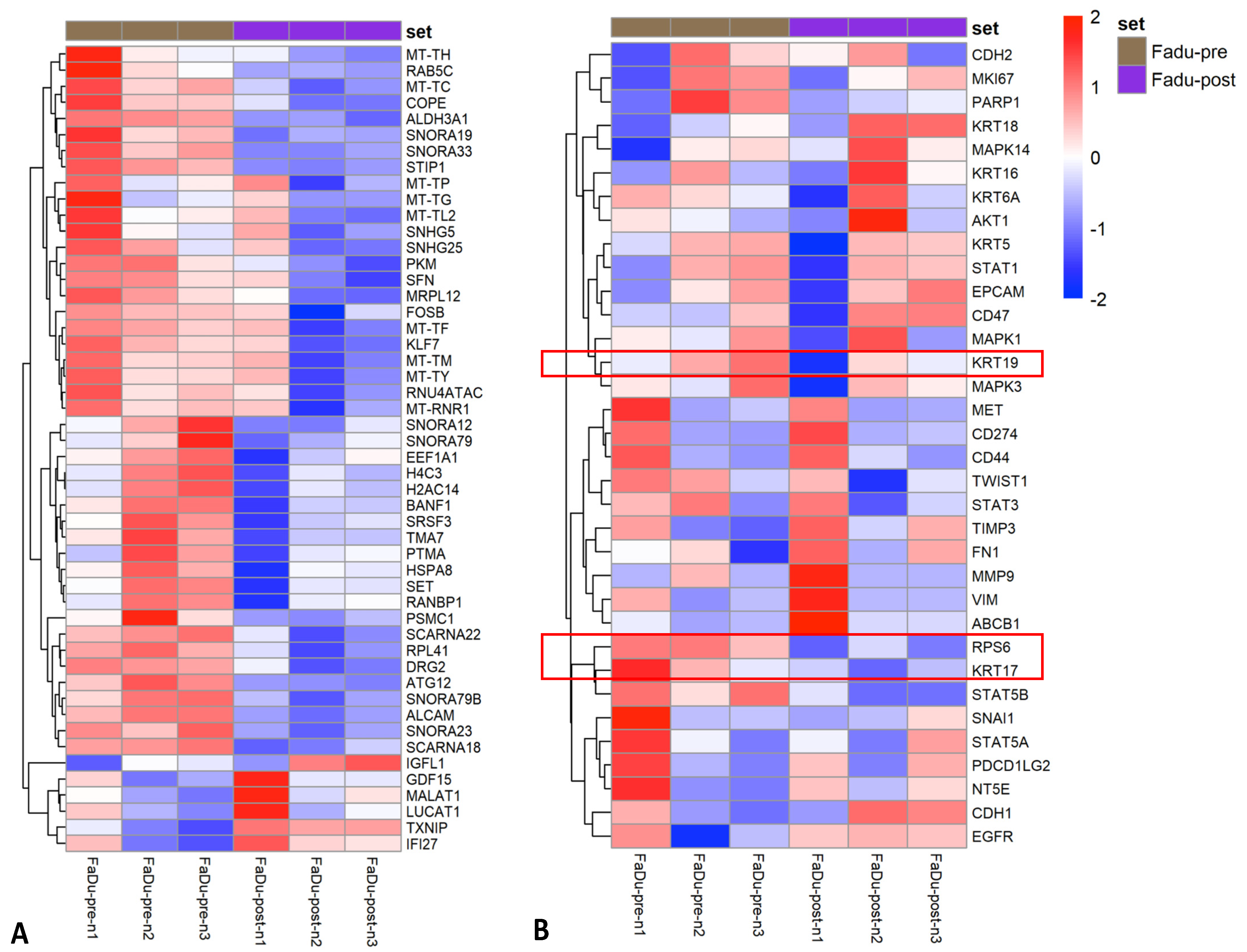 Cancers 13 05519 g004