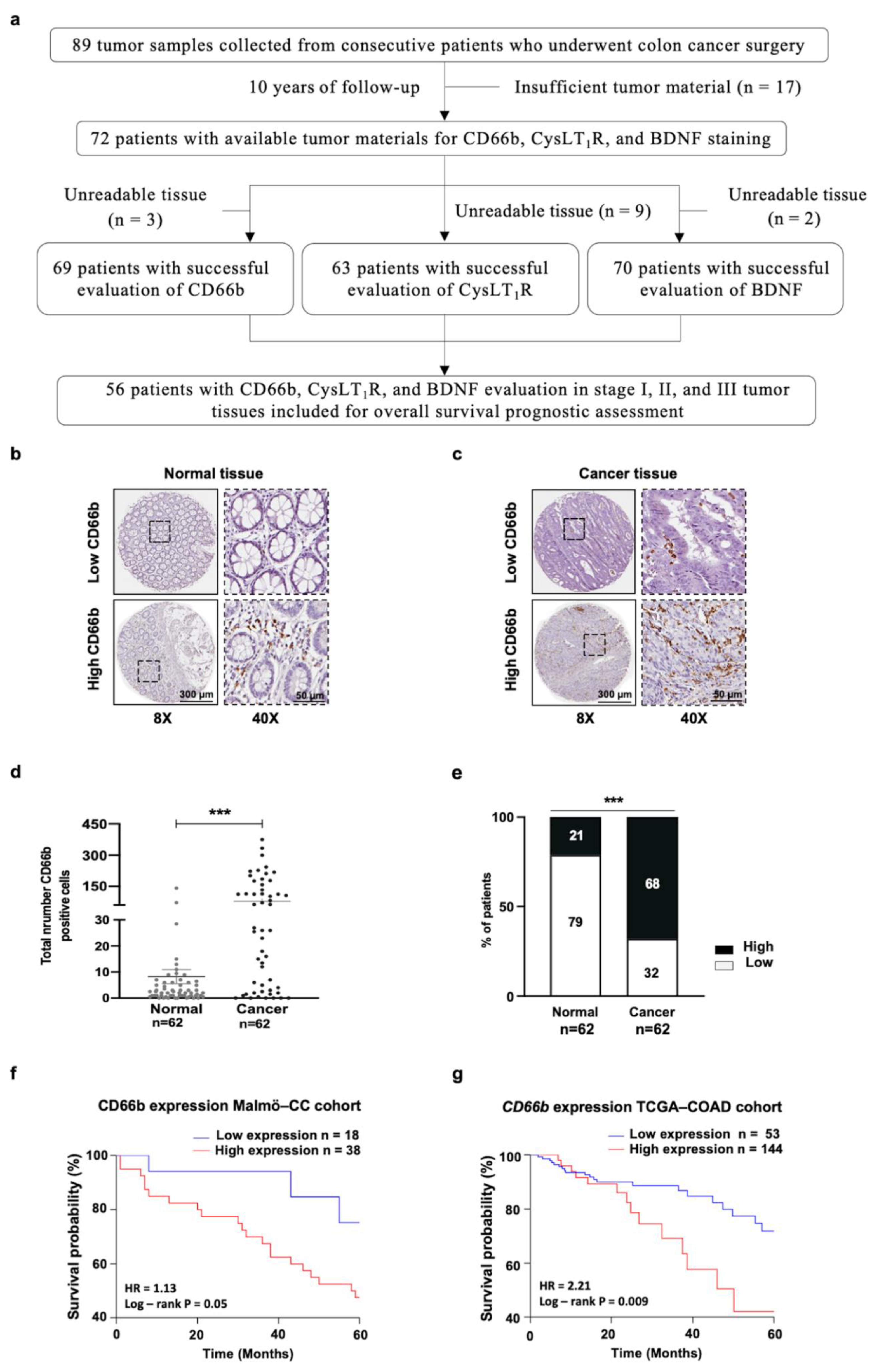 Cancers 13 05520 g001