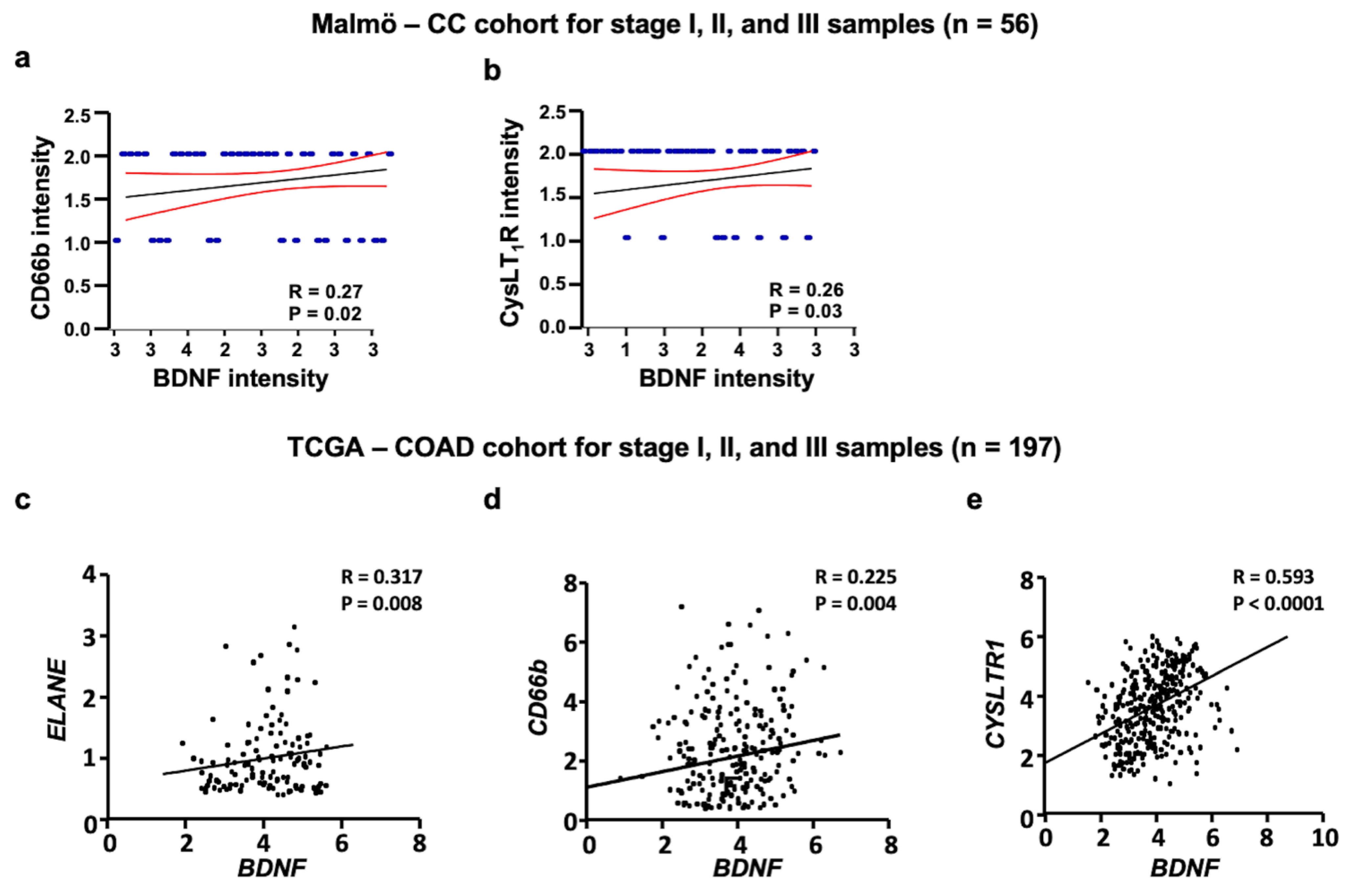 Cancers 13 05520 g002
