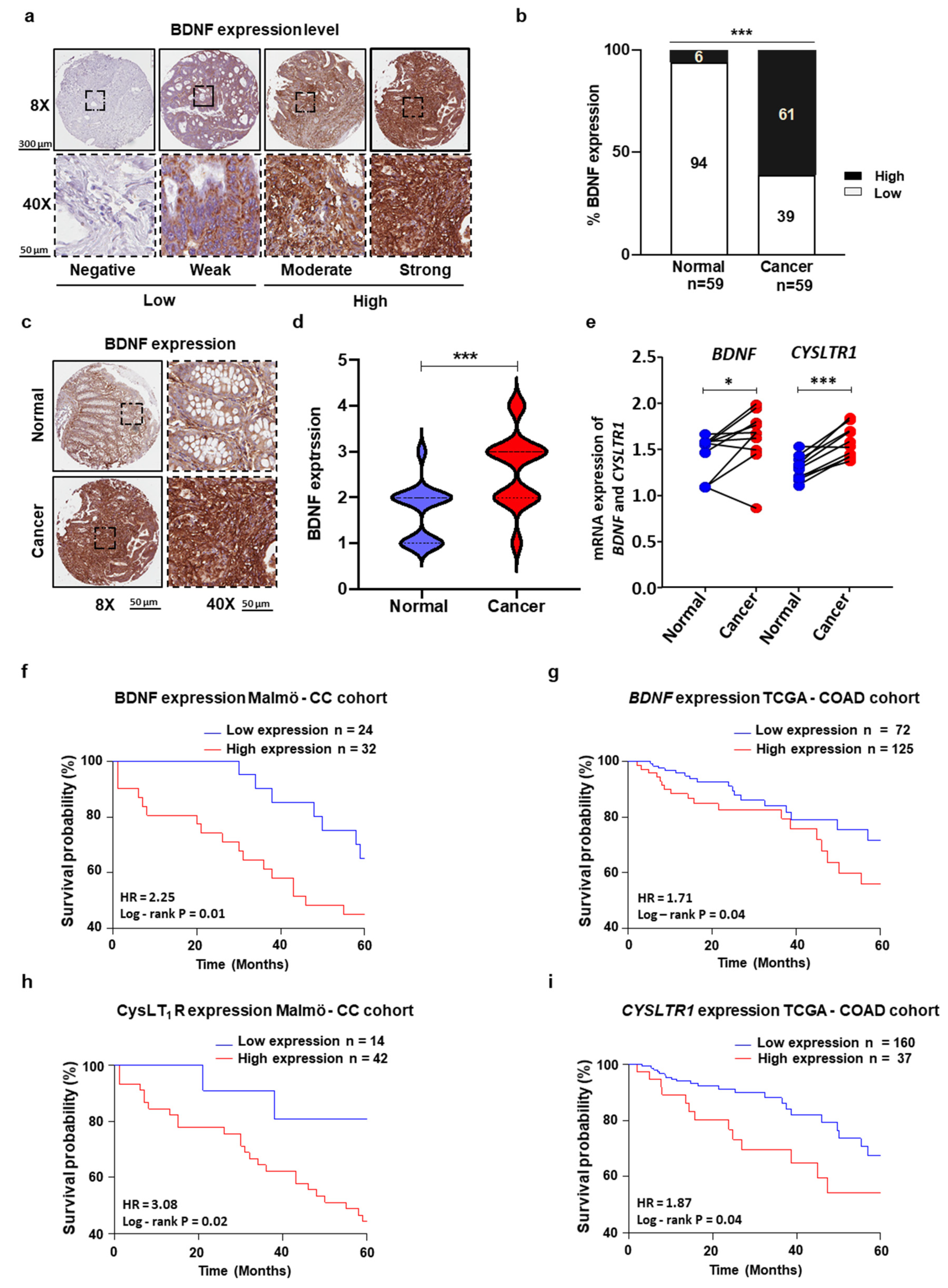 Cancers 13 05520 g004